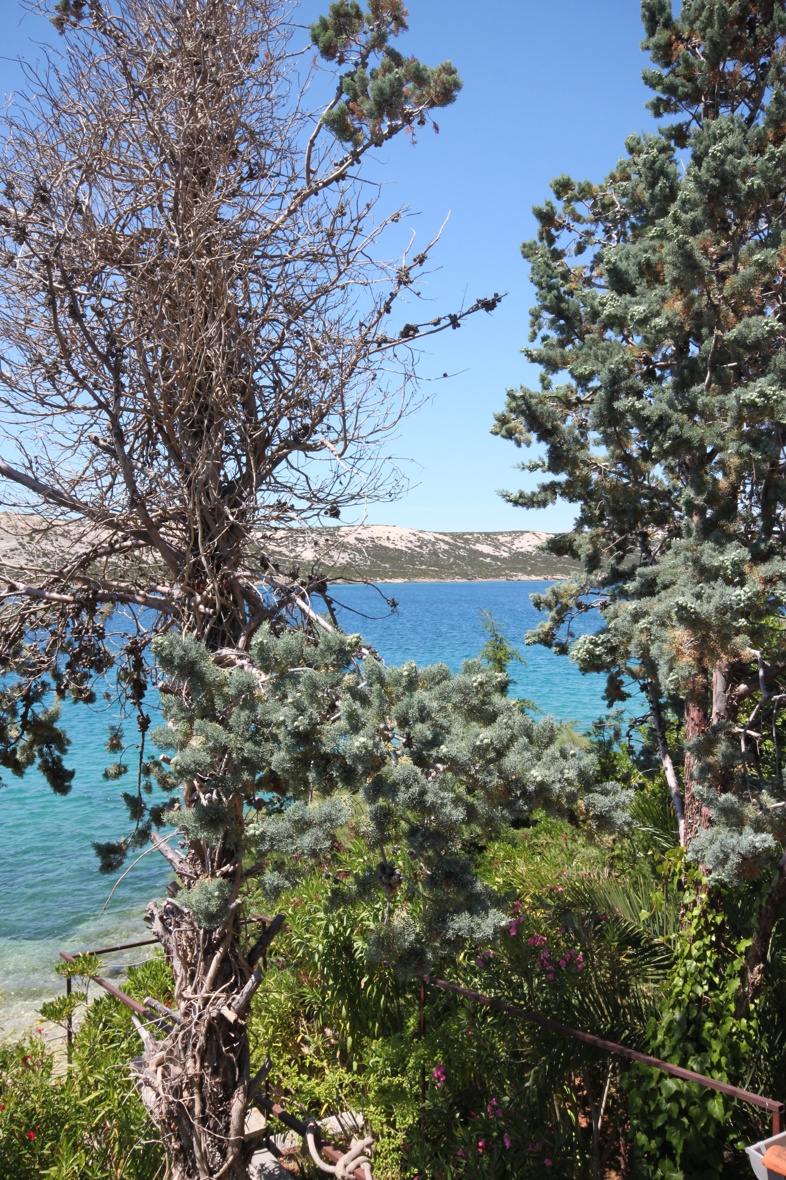 Three bedroom apartment near beach Stara Novalja, Pag  A-a