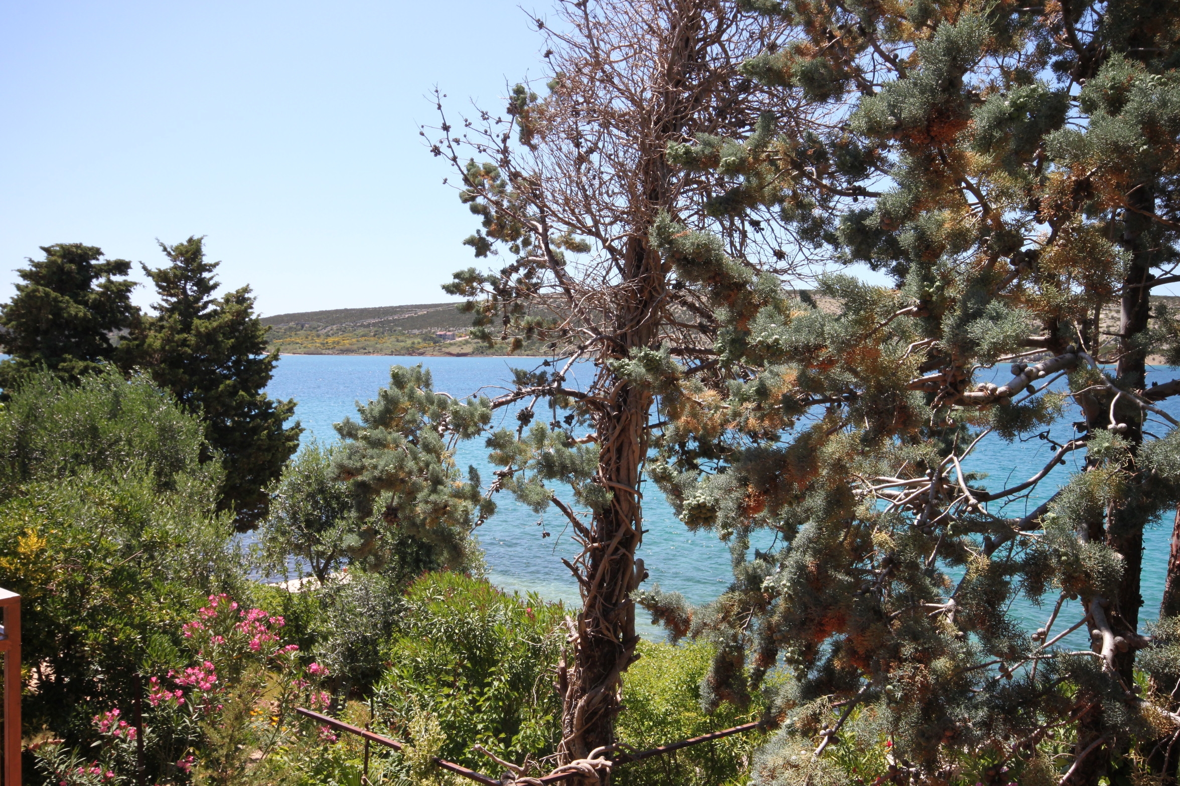 Three bedroom apartment near beach Stara Novalja, Pag  A-a