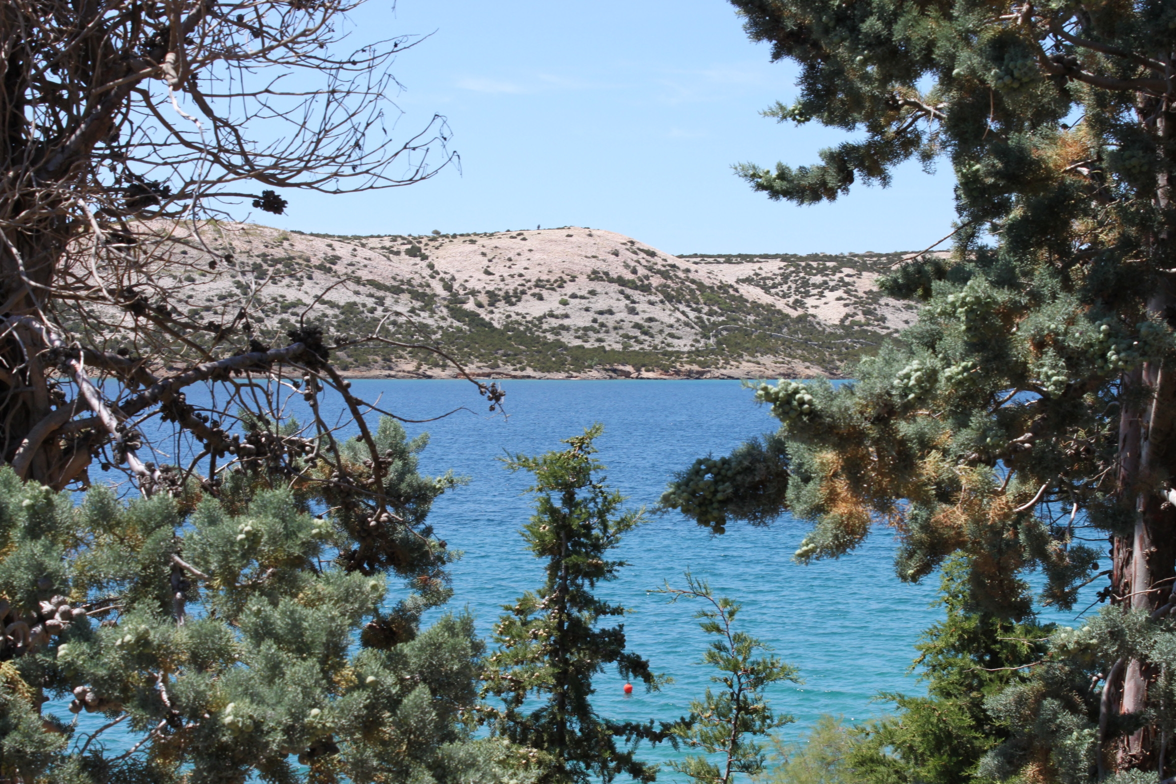 Three bedroom apartment near beach Stara Novalja, Pag  A-a