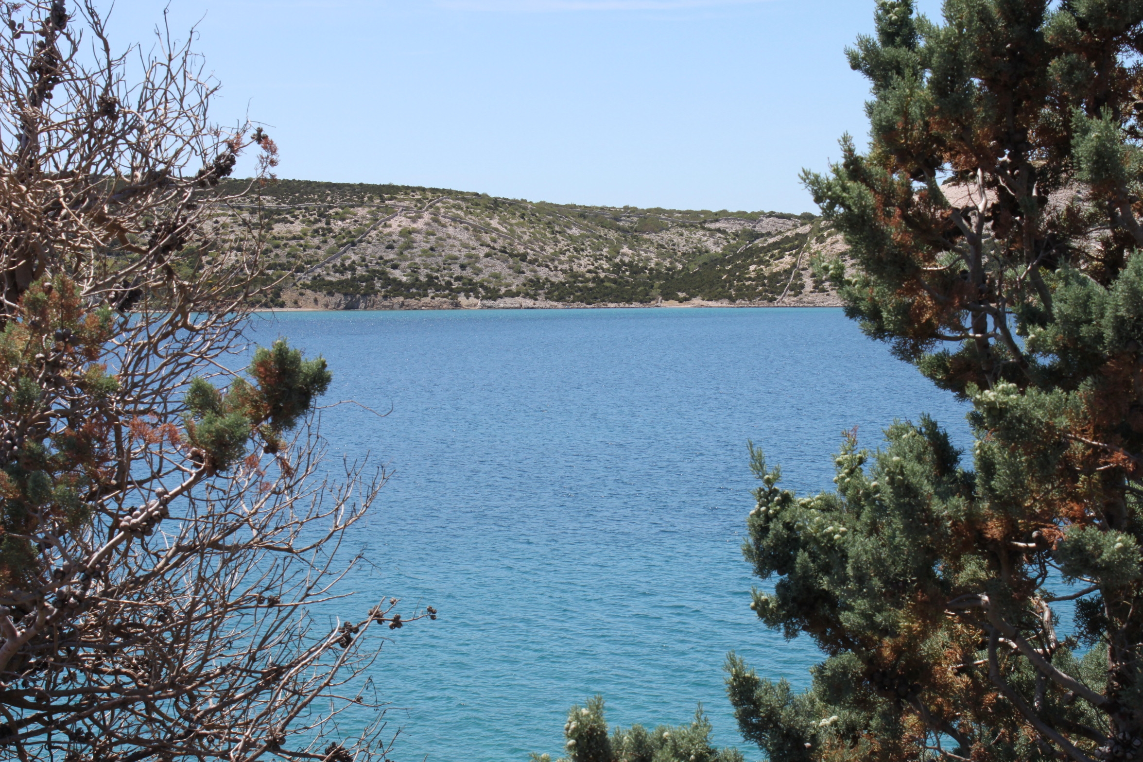 Studio flat near beach Stara Novalja, Pag  AS-a