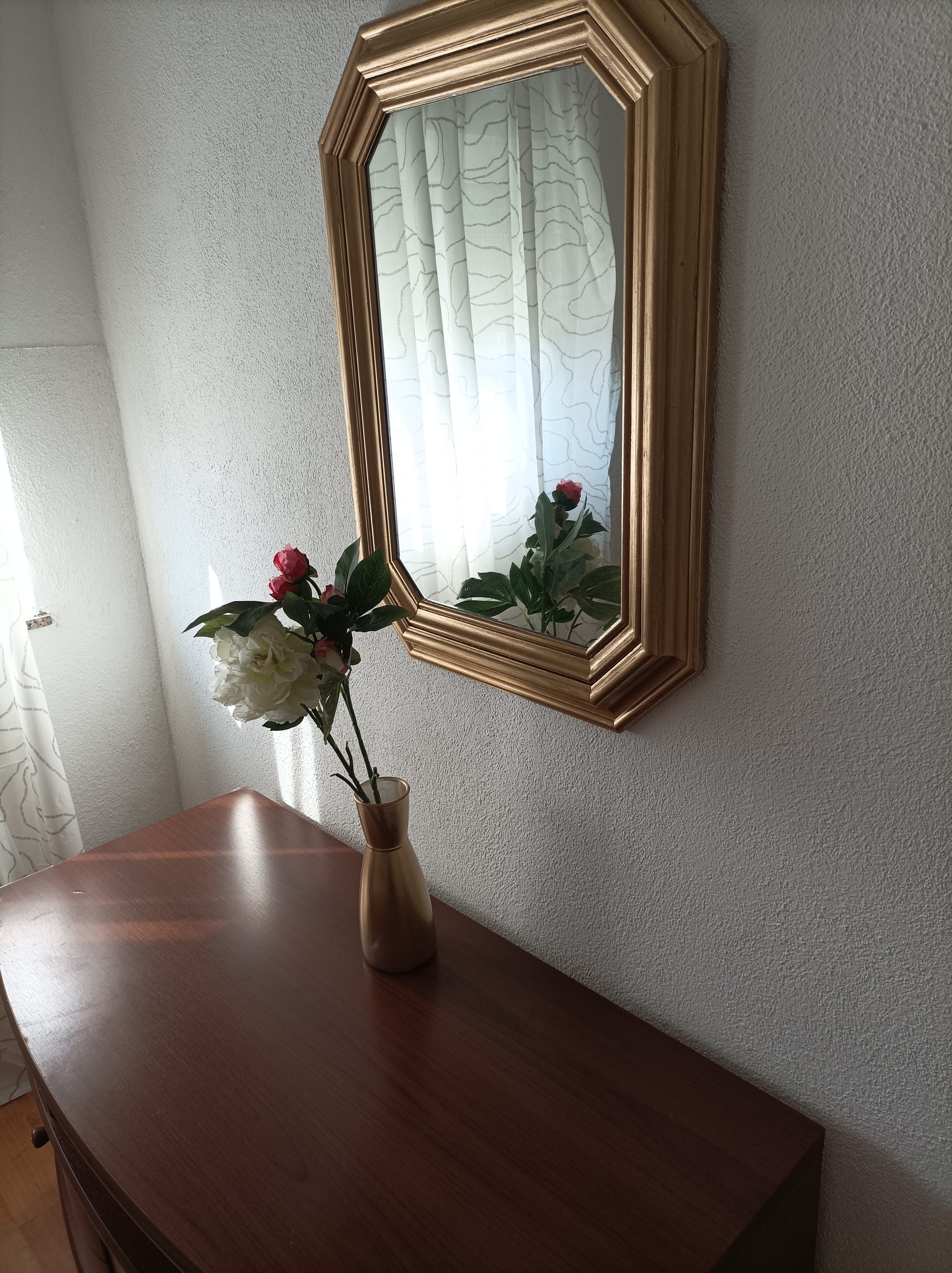 Top Pag Zubovići Top Pag Zubovići