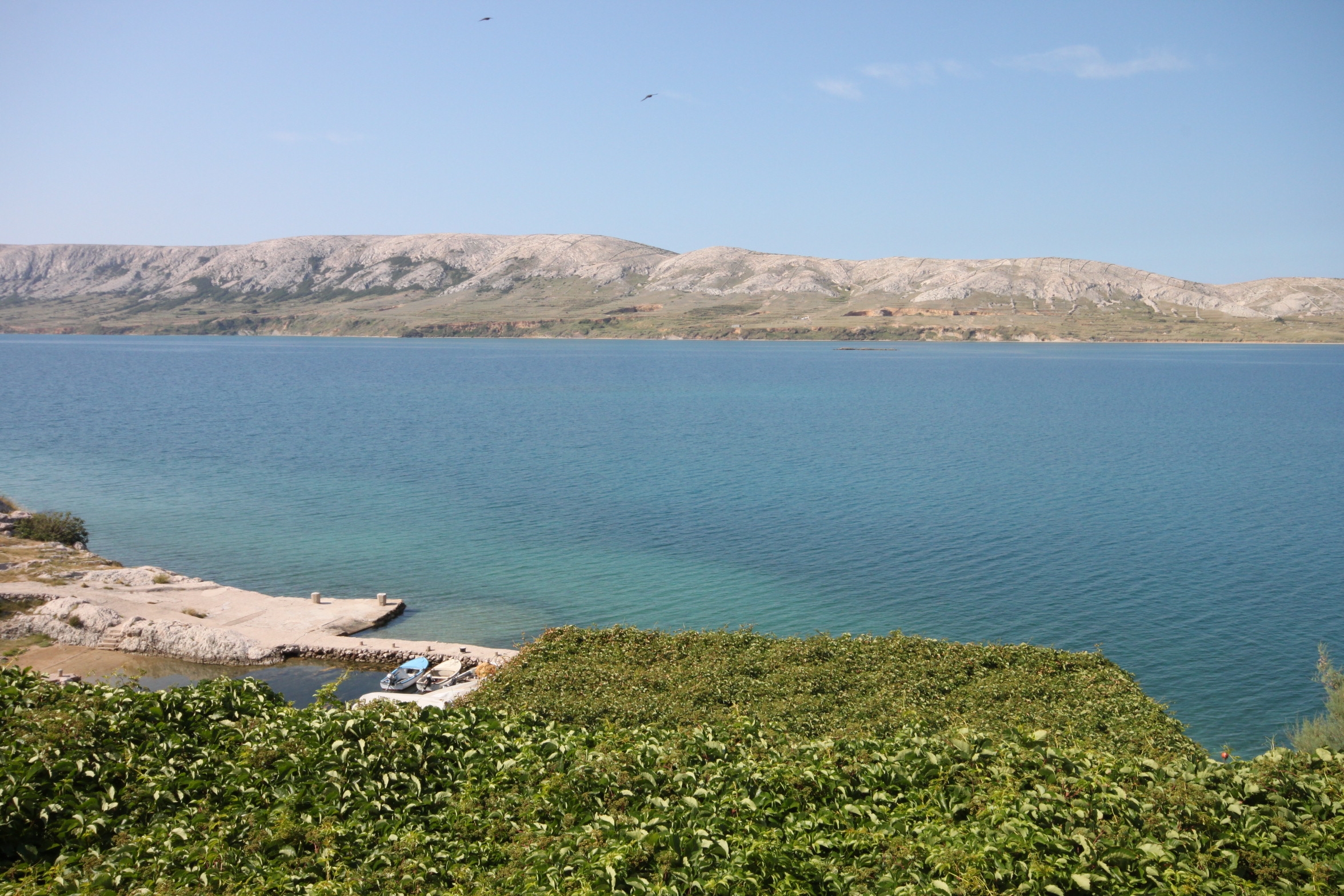 Top Pag Zubovići Top Pag Zubovići