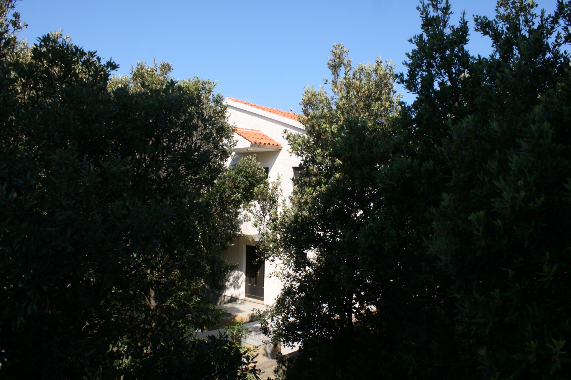 Two bedroom apartment with terrace Mandre, Pag  A-d