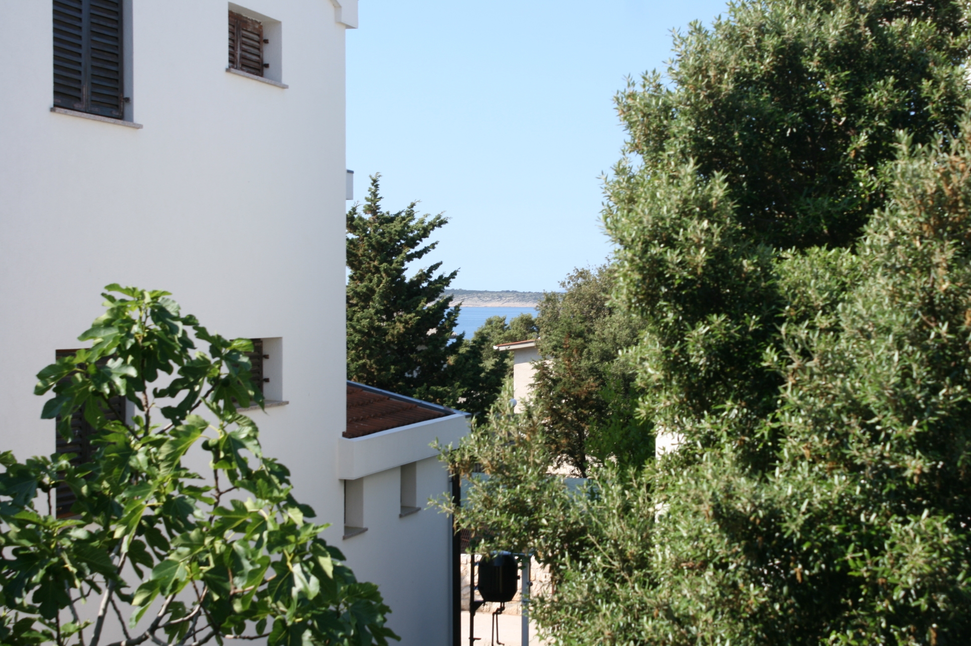 One bedroom apartment with terrace Mandre, Pag  A-e