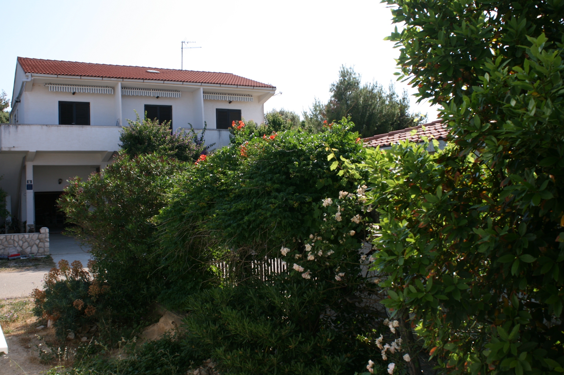 One bedroom apartment with terrace Mandre, Pag  A-f