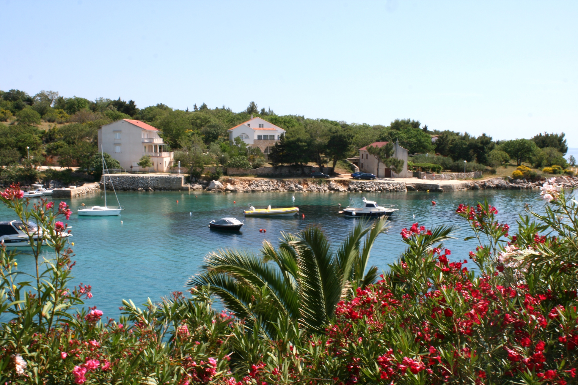 Top Pag Potočnica Top Pag Potočnica