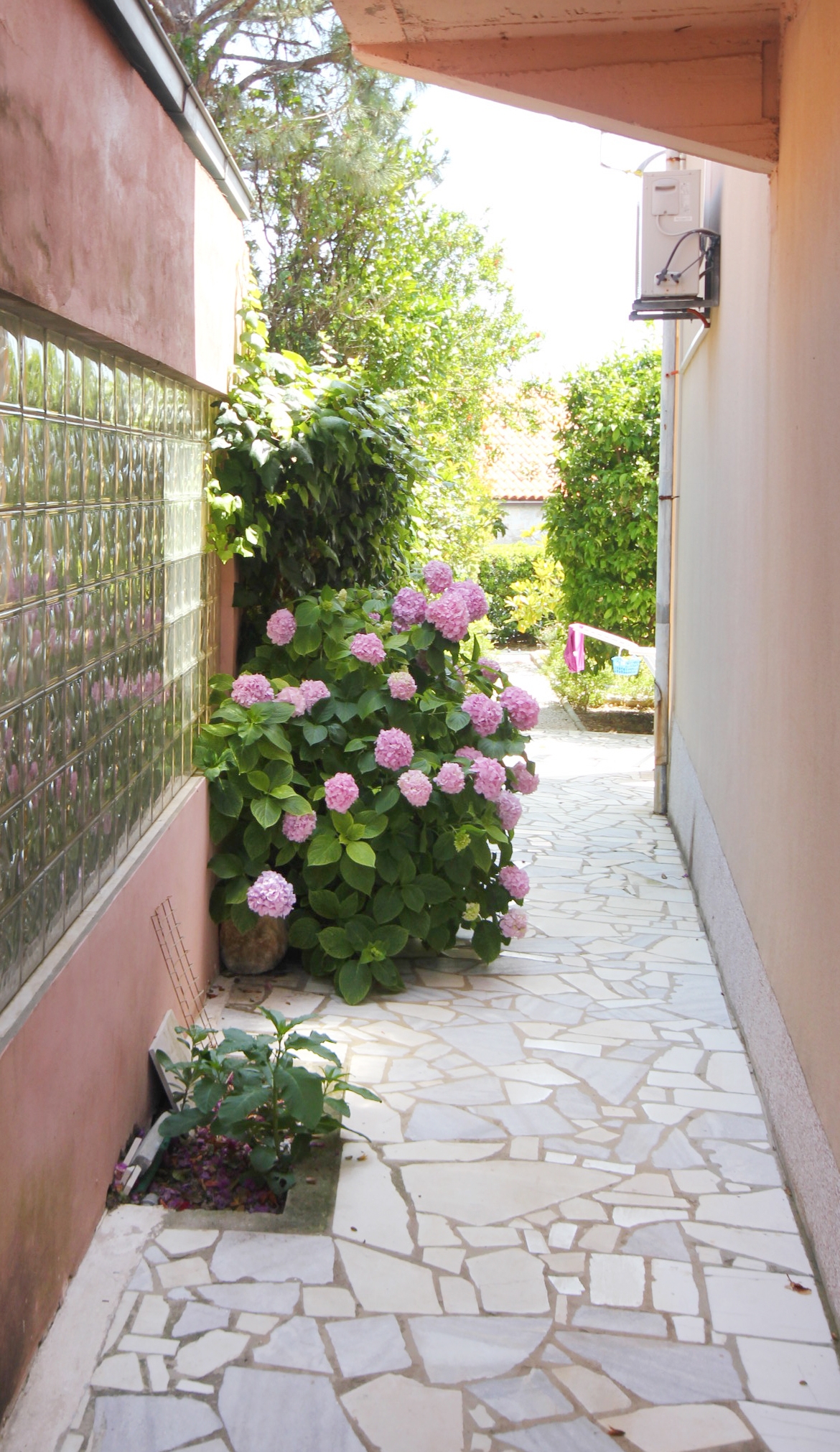 Studio flat with terrace Orebić, Pelješac  AS-e
