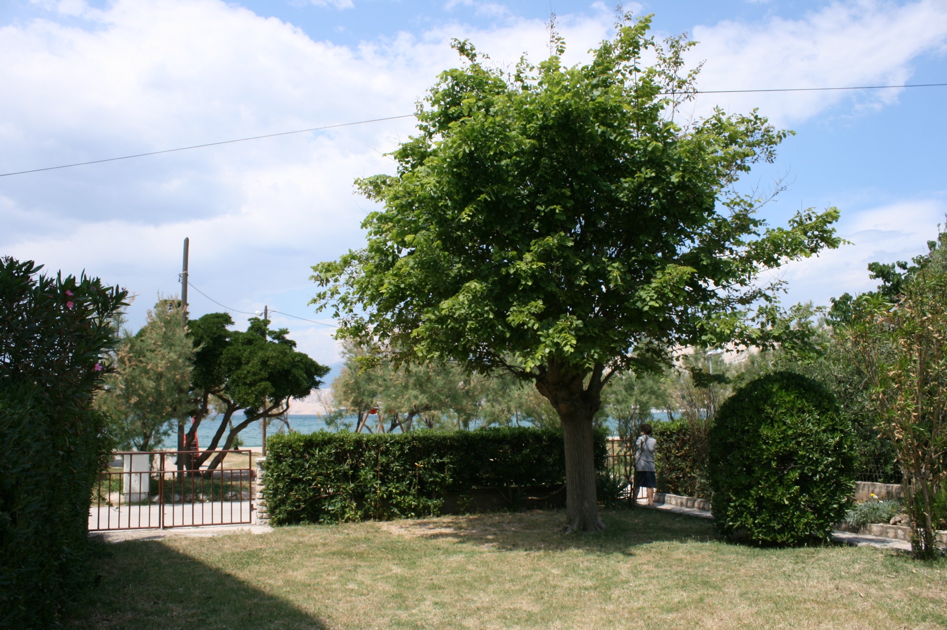 Two bedroom apartment near beach Pag (A-6413-a) Two bedroom apartment near beach Pag (A-6413-a)