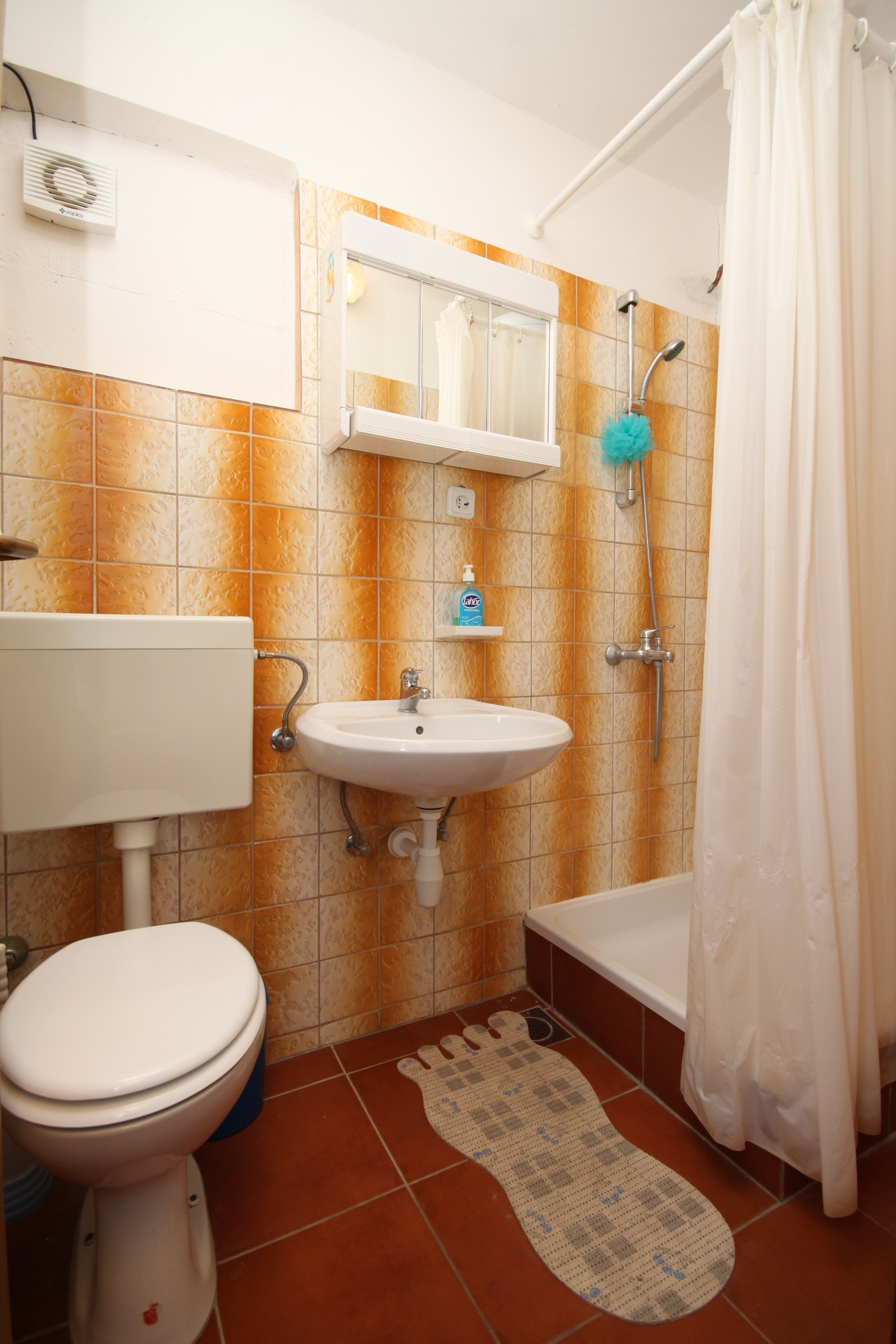 Top Pag Metajna Top Pag Metajna