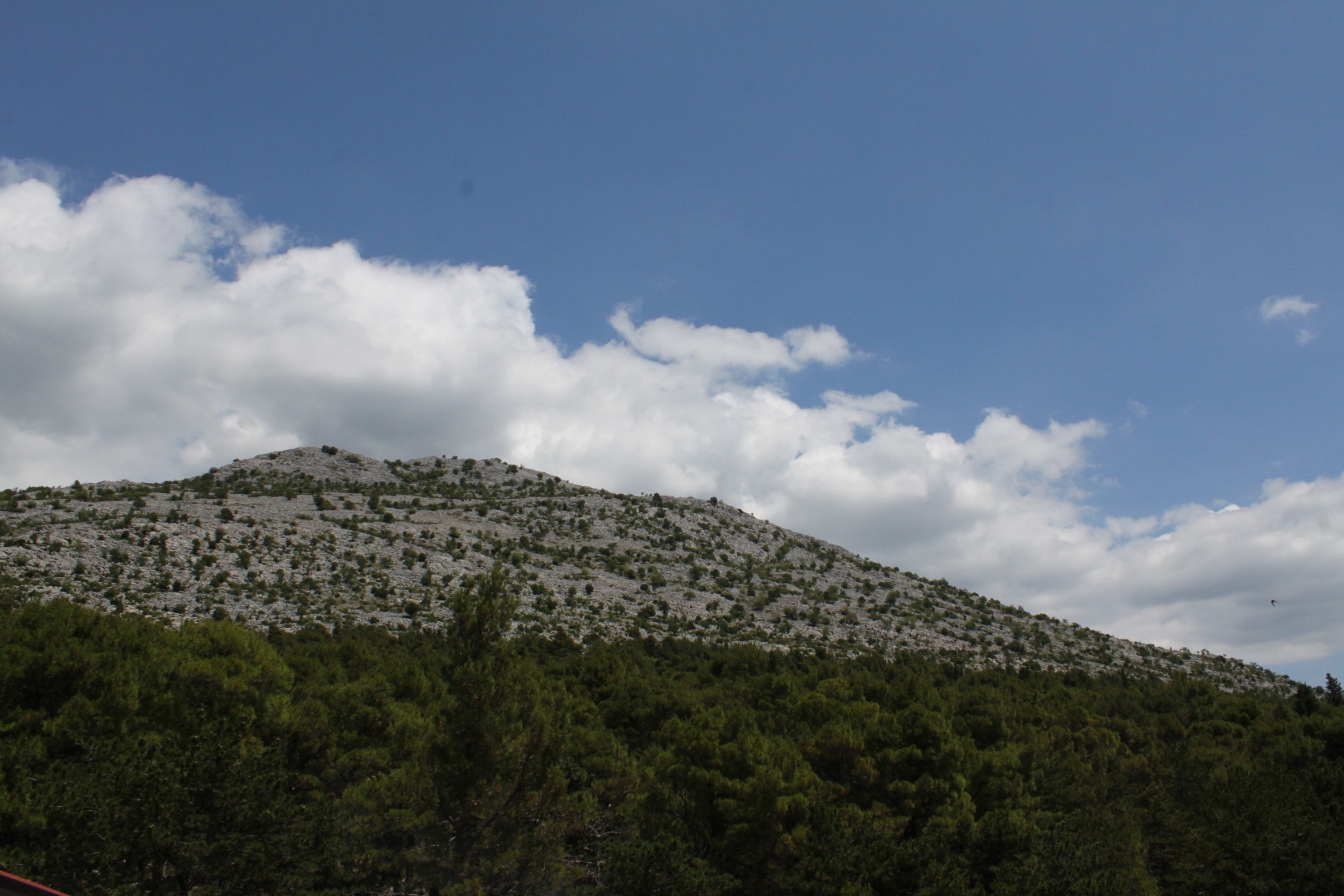 Jednosobni apartman s balkonom i pogledom na more Starigrad, Paklenica  A-b