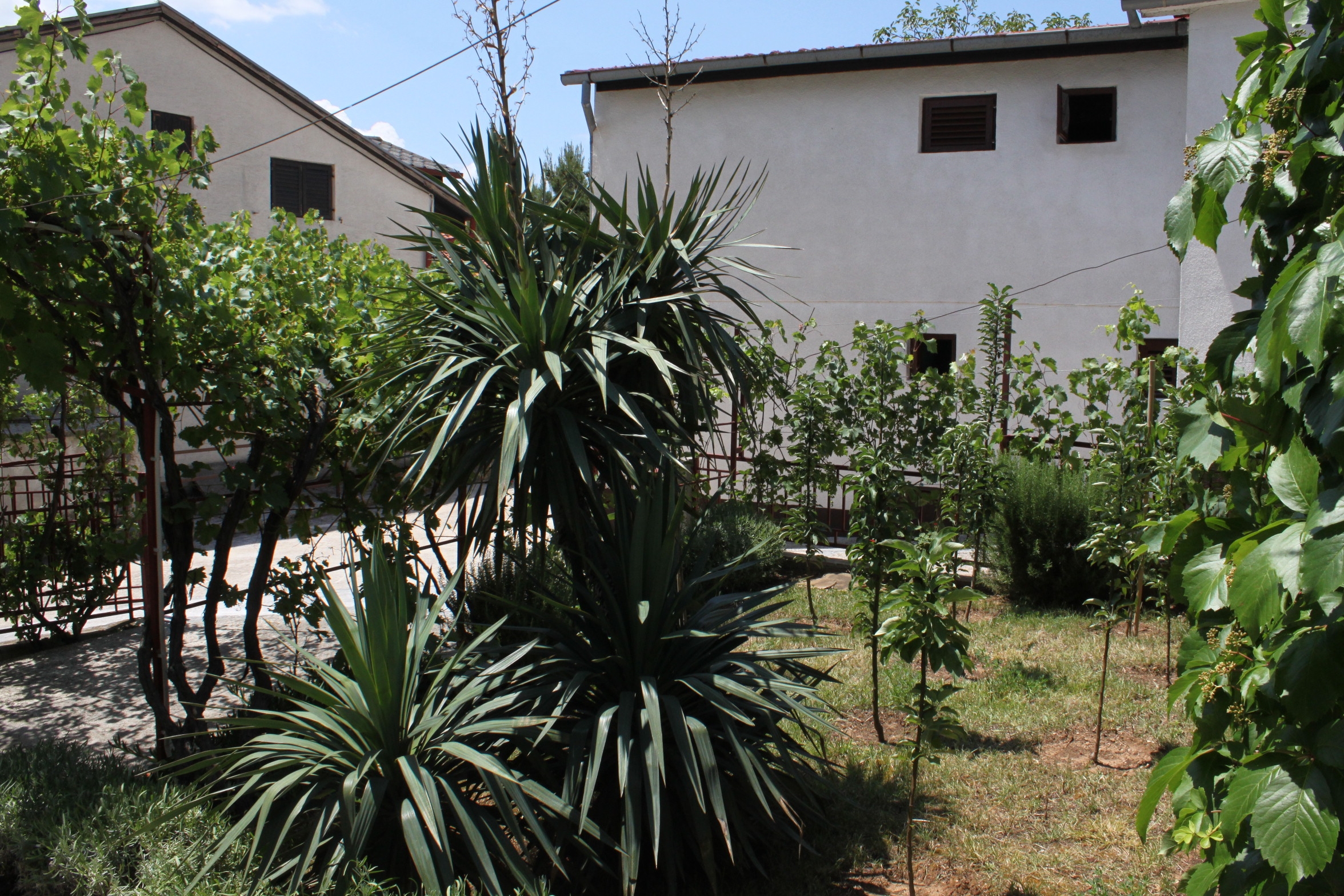 Jednosobni apartman s terasom i pogledom na more Starigrad, Paklenica  A-a