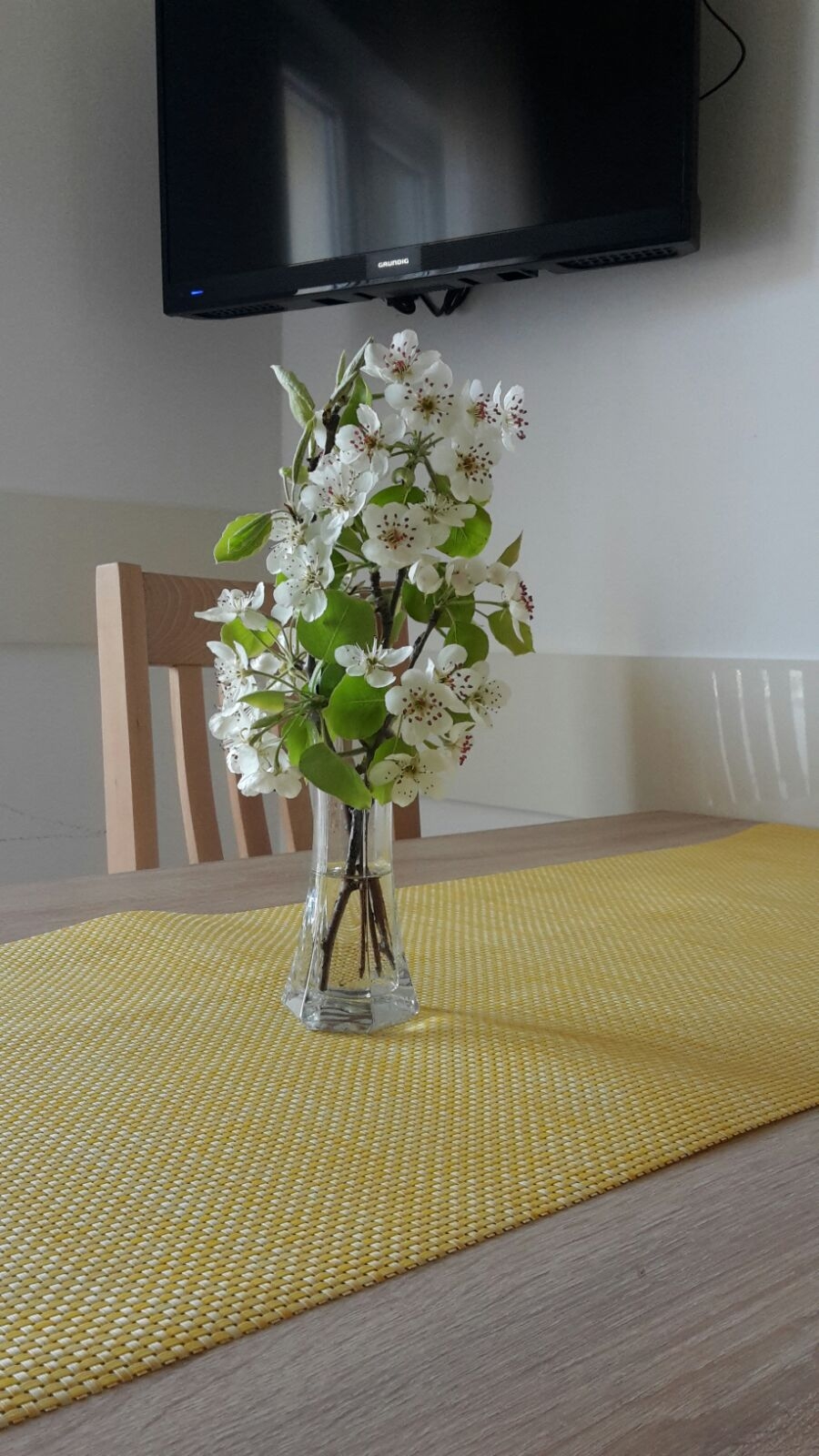 Top Paklenica Seline Top Paklenica Seline