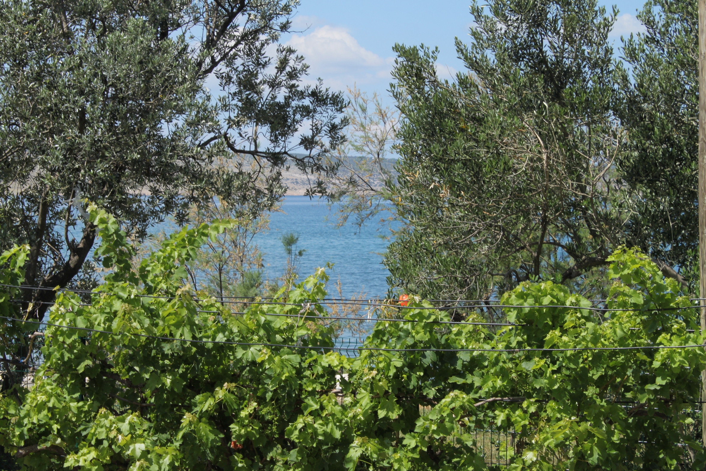 Top Paklenica Seline Top Paklenica Seline