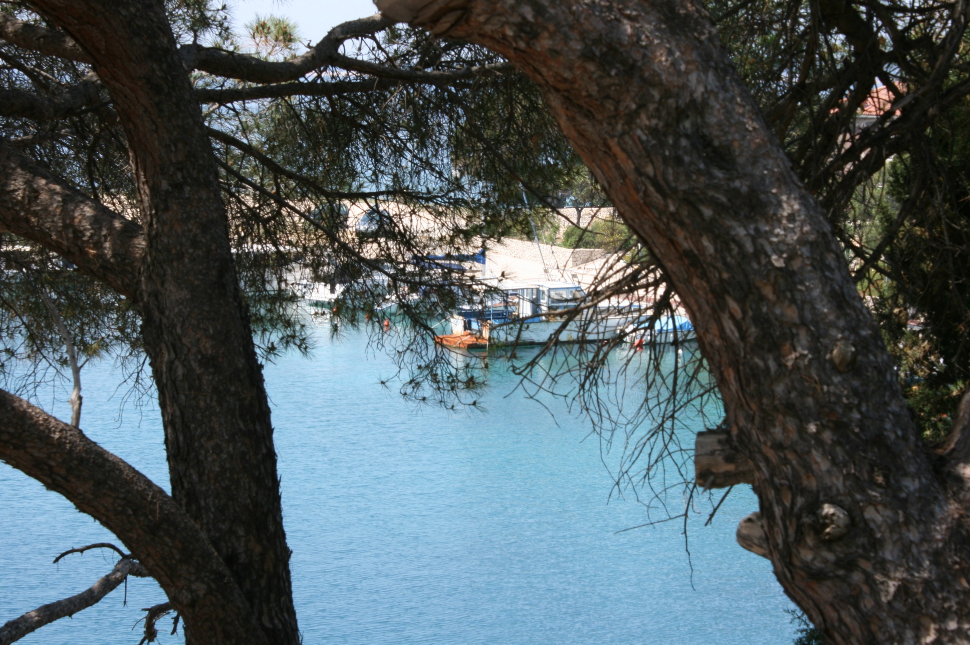 One bedroom apartment with terrace and sea view Mandre, Pag  A-a