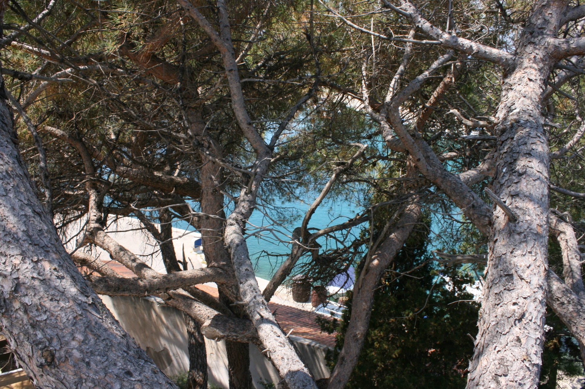 One bedroom apartment with terrace and sea view Mandre, Pag  A-c