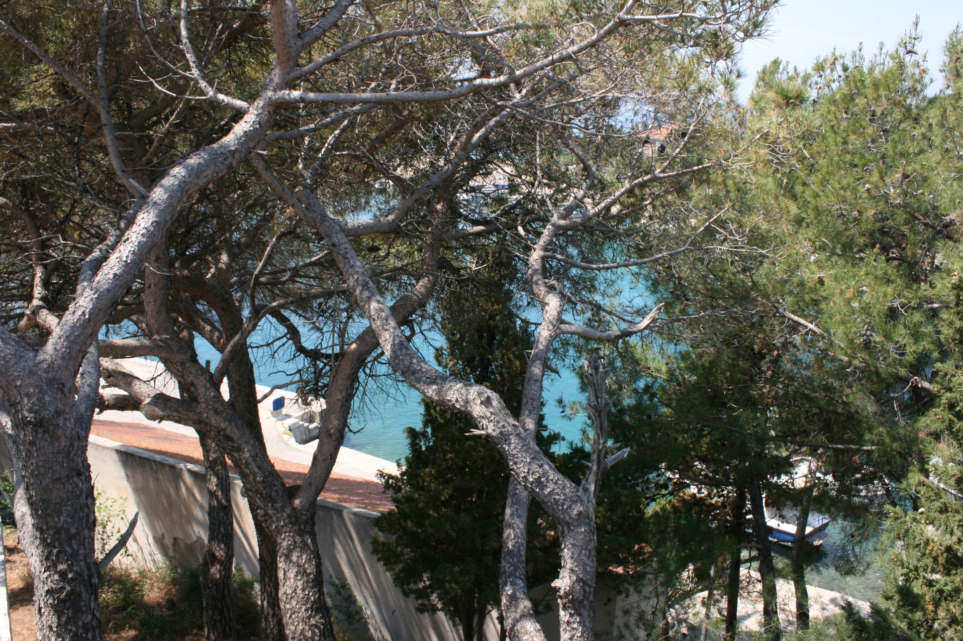 One bedroom apartment with terrace and sea view Mandre, Pag  A-c