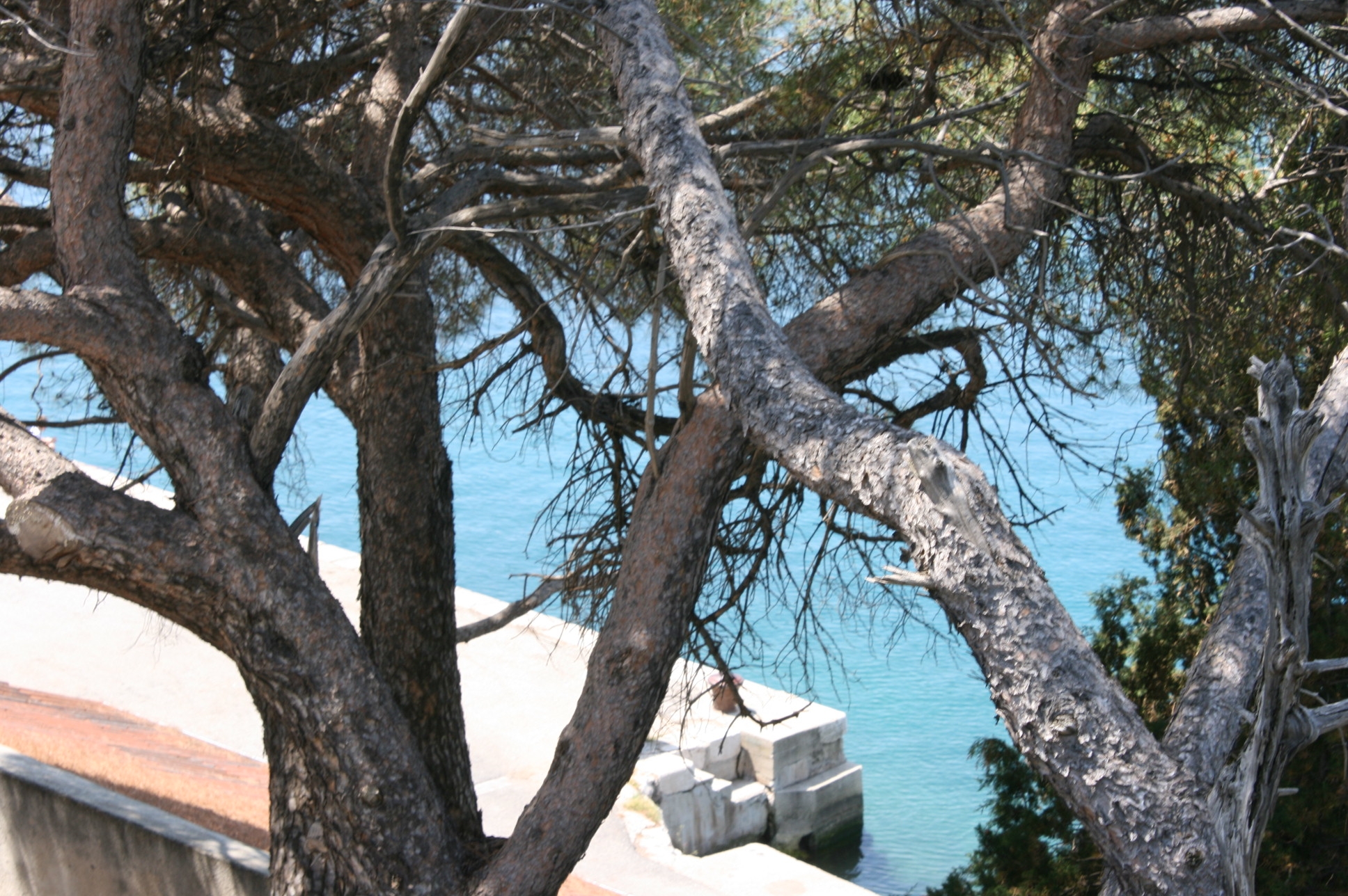 One bedroom apartment with terrace and sea view Mandre, Pag  A-d