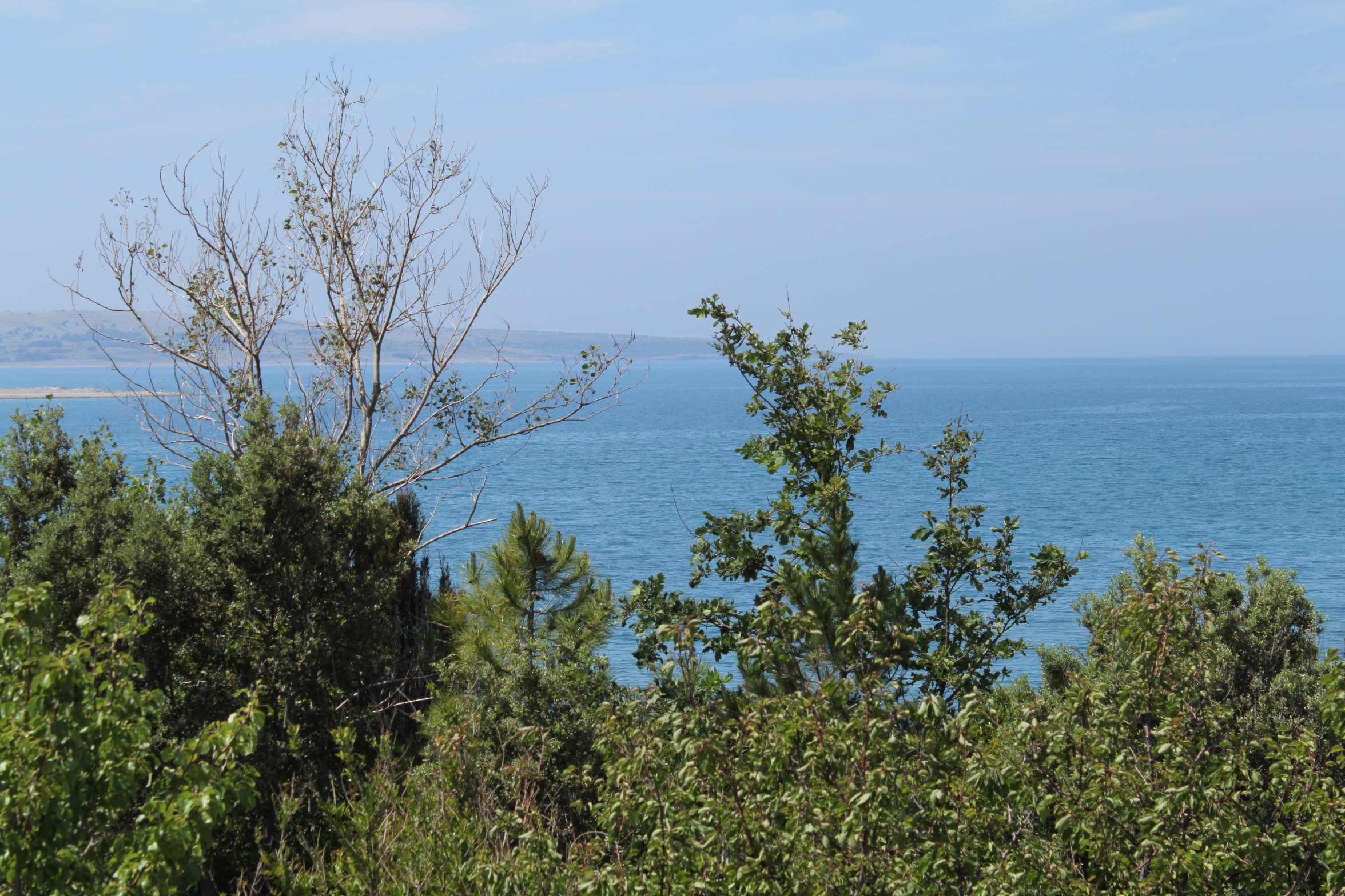 Top Pag Povljana Top Pag Povljana