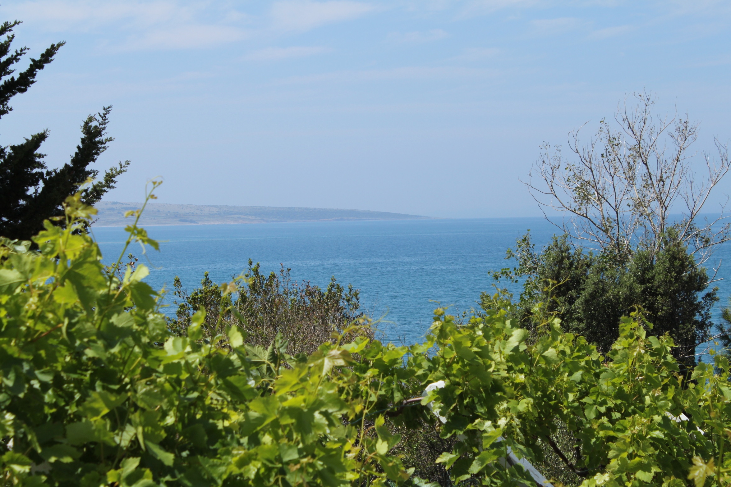 Top Pag Povljana Top Pag Povljana