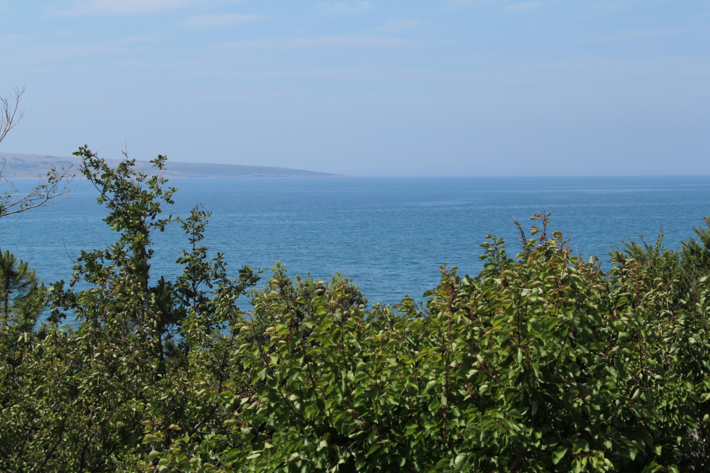 Top Pag Povljana Top Pag Povljana