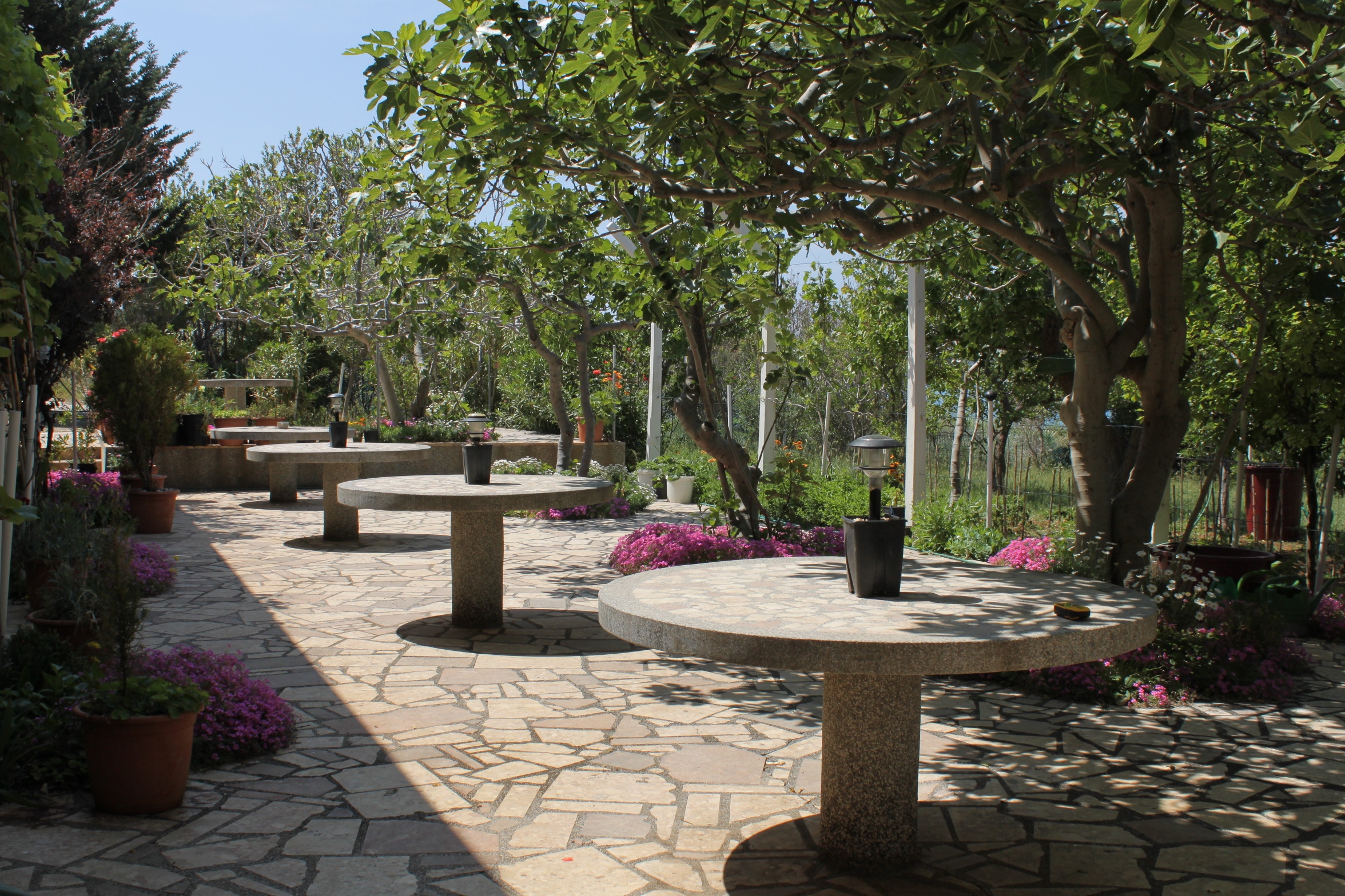 Top Pag Povljana Top Pag Povljana