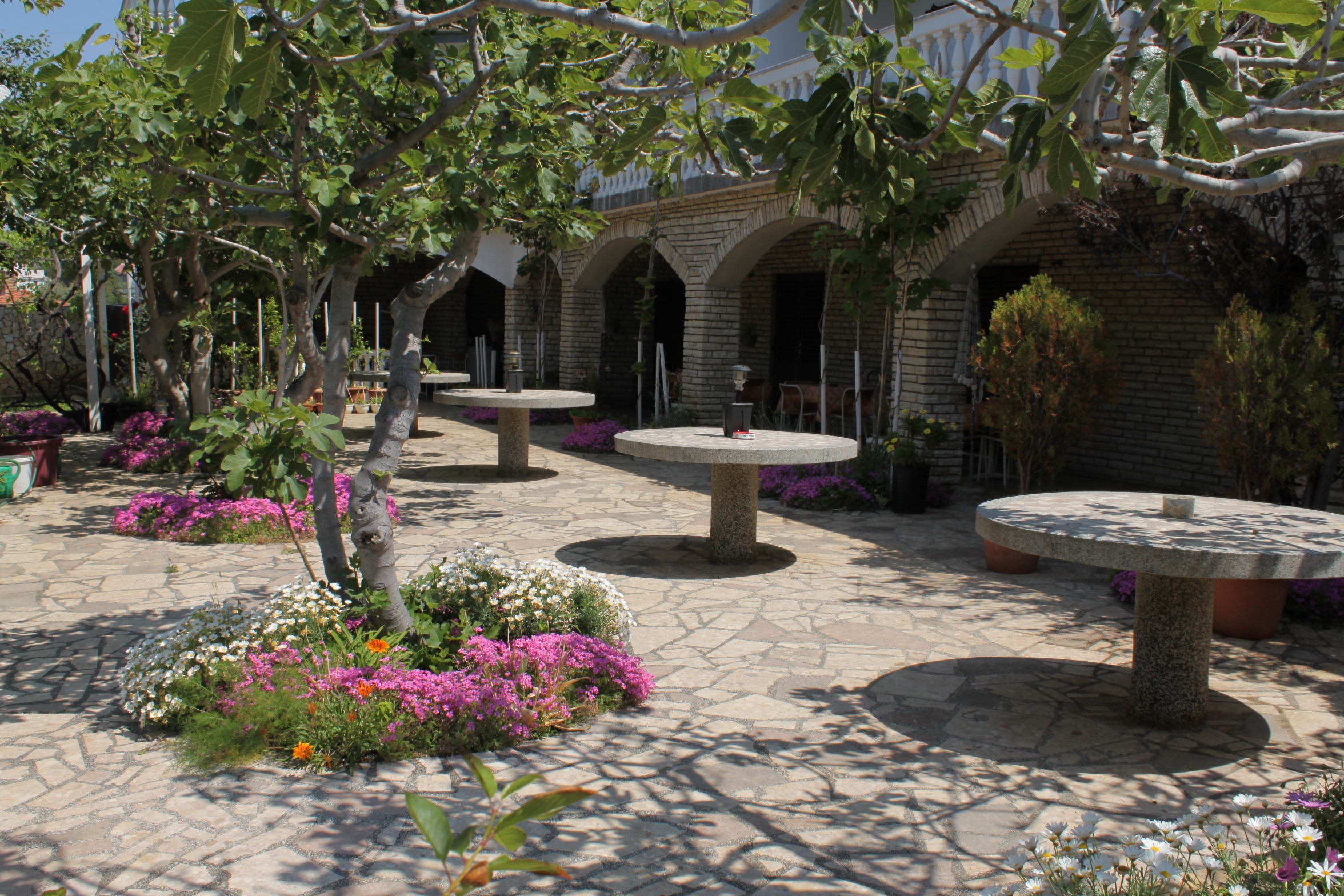 Room near beach Povljana, Pag (S-6476-c)