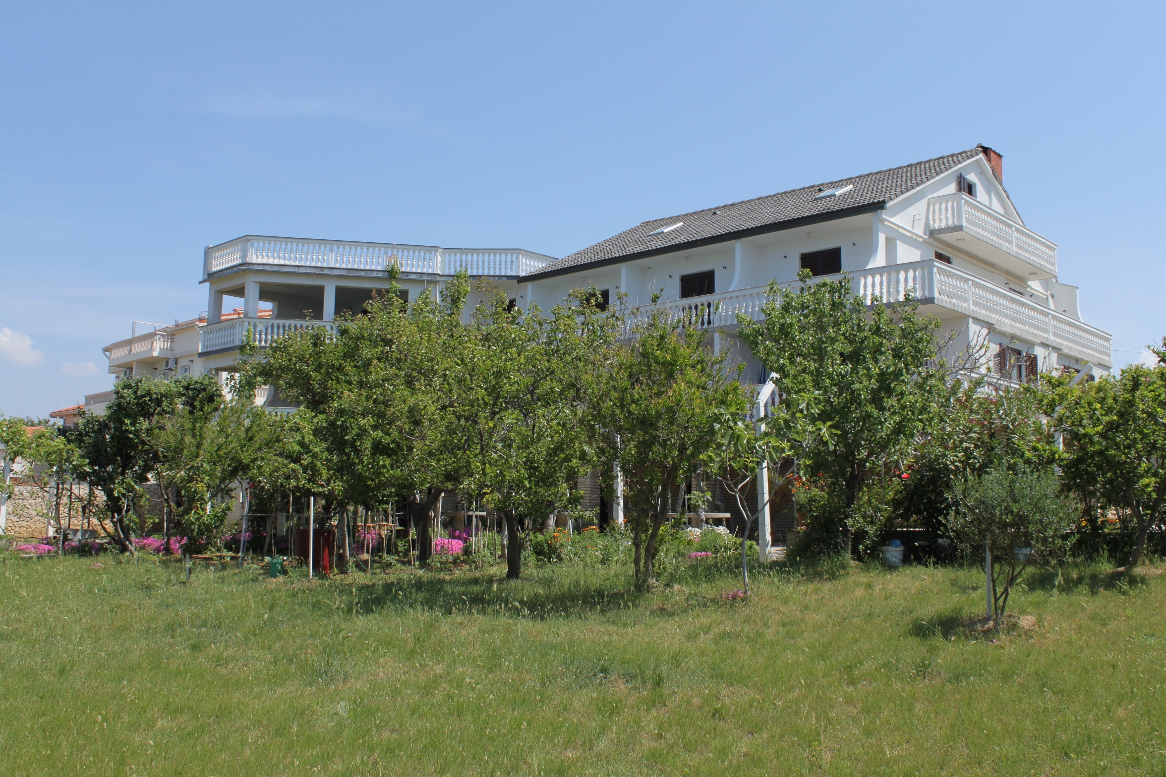 Top Pag Povljana Top Pag Povljana