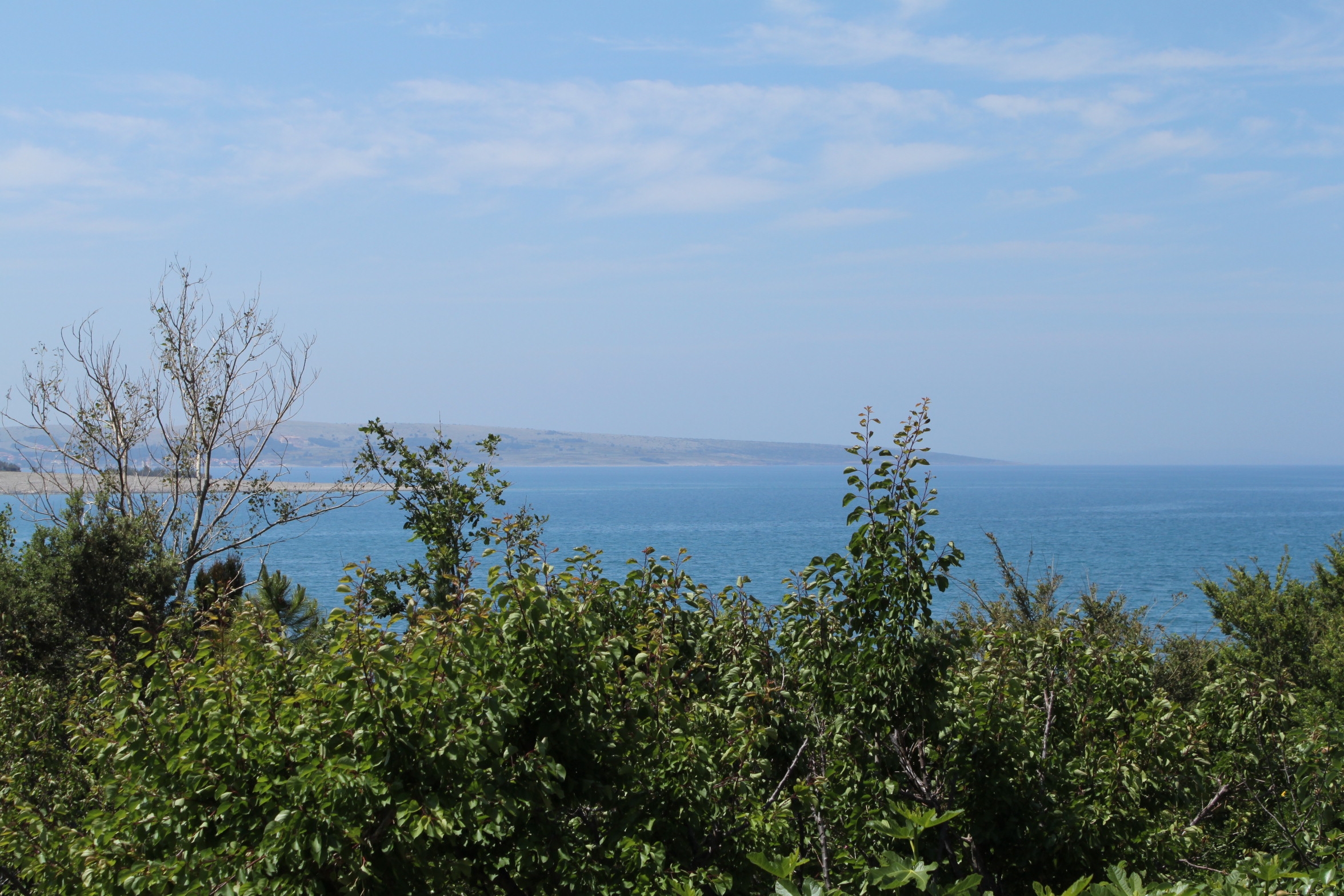 Top Pag Povljana Top Pag Povljana