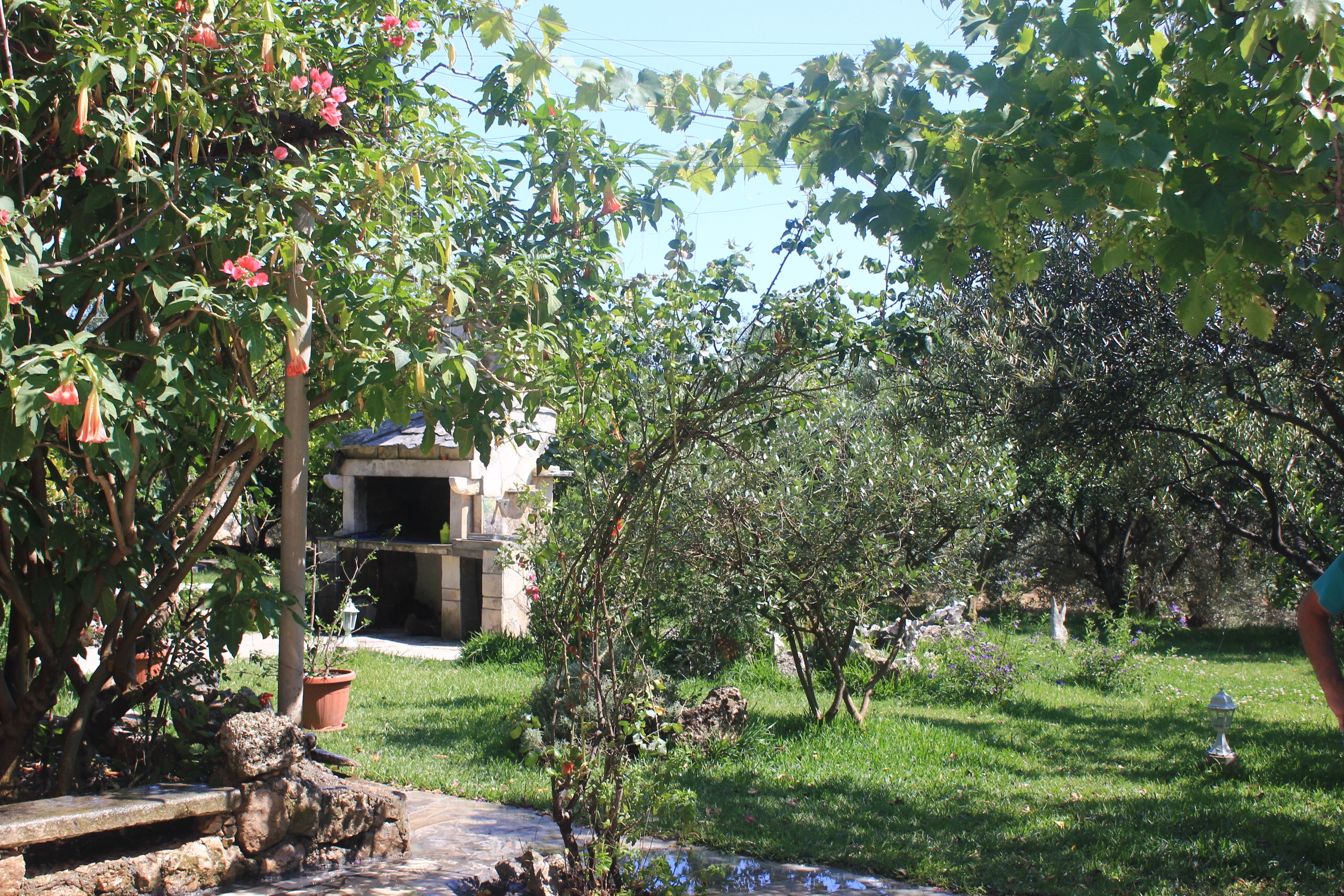 Studio flat with terrace and sea view Orebić (Pelješac) (AS-648-d)