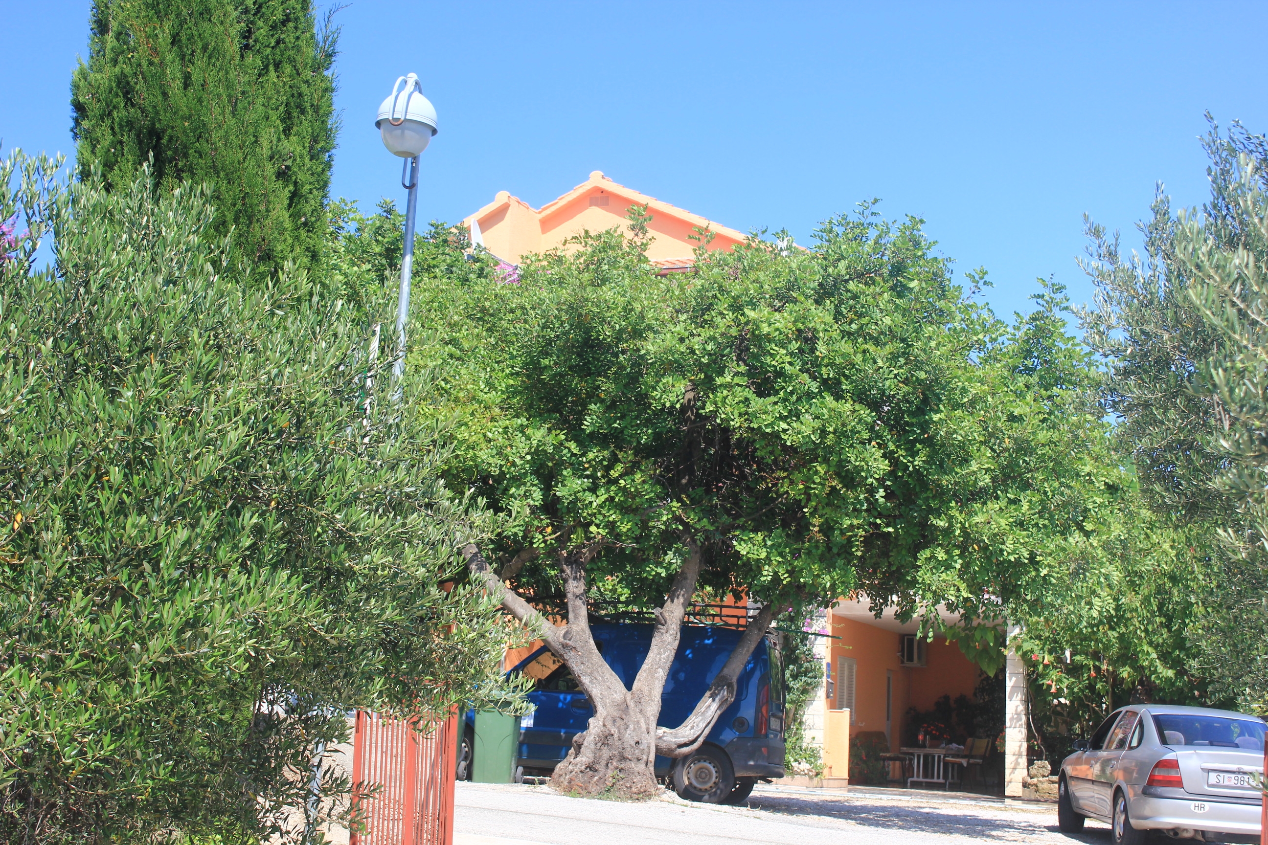 Top Pelješac Orebić Top Pelješac Orebić