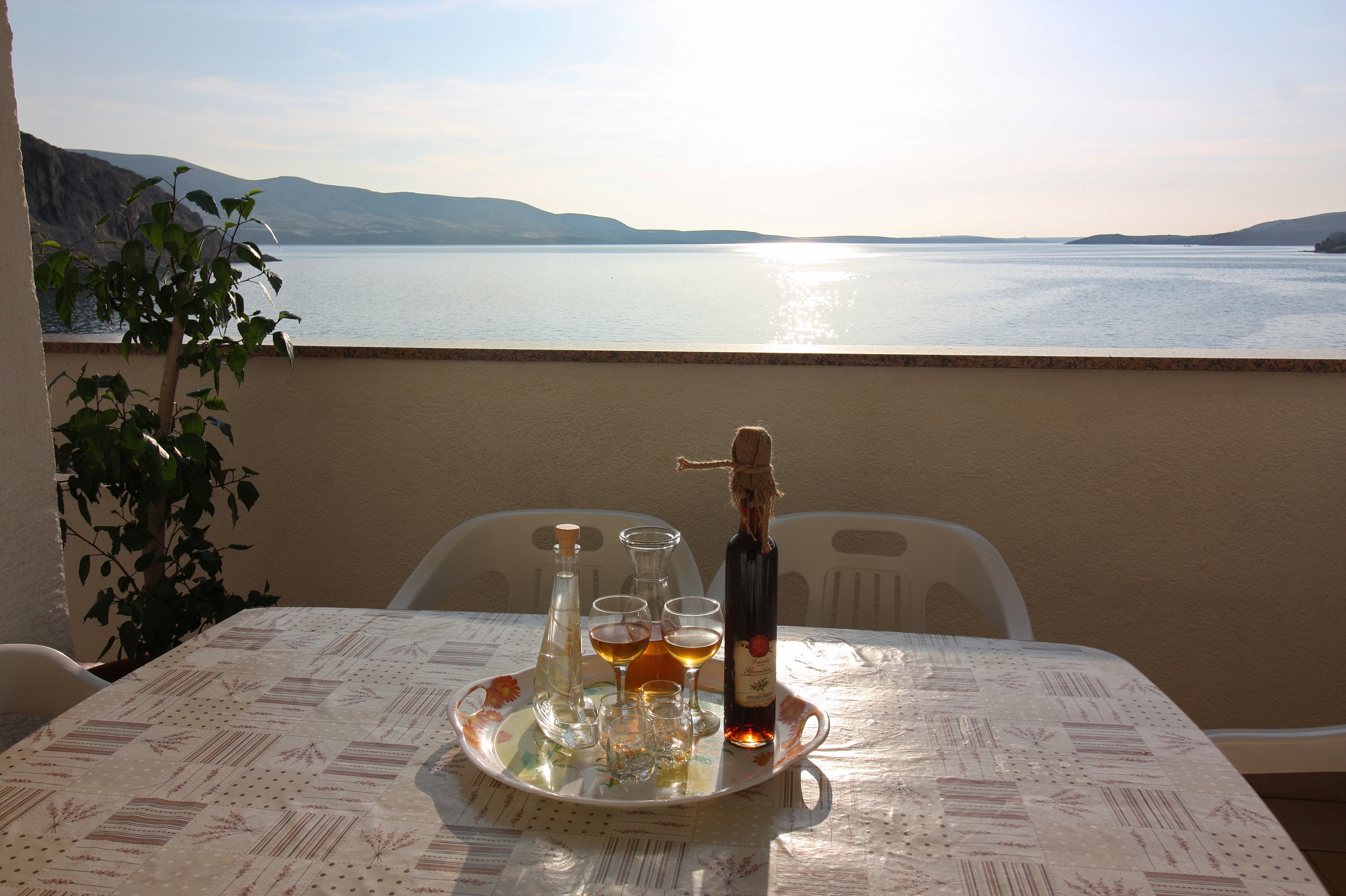 Top Pag Metajna Top Pag Metajna