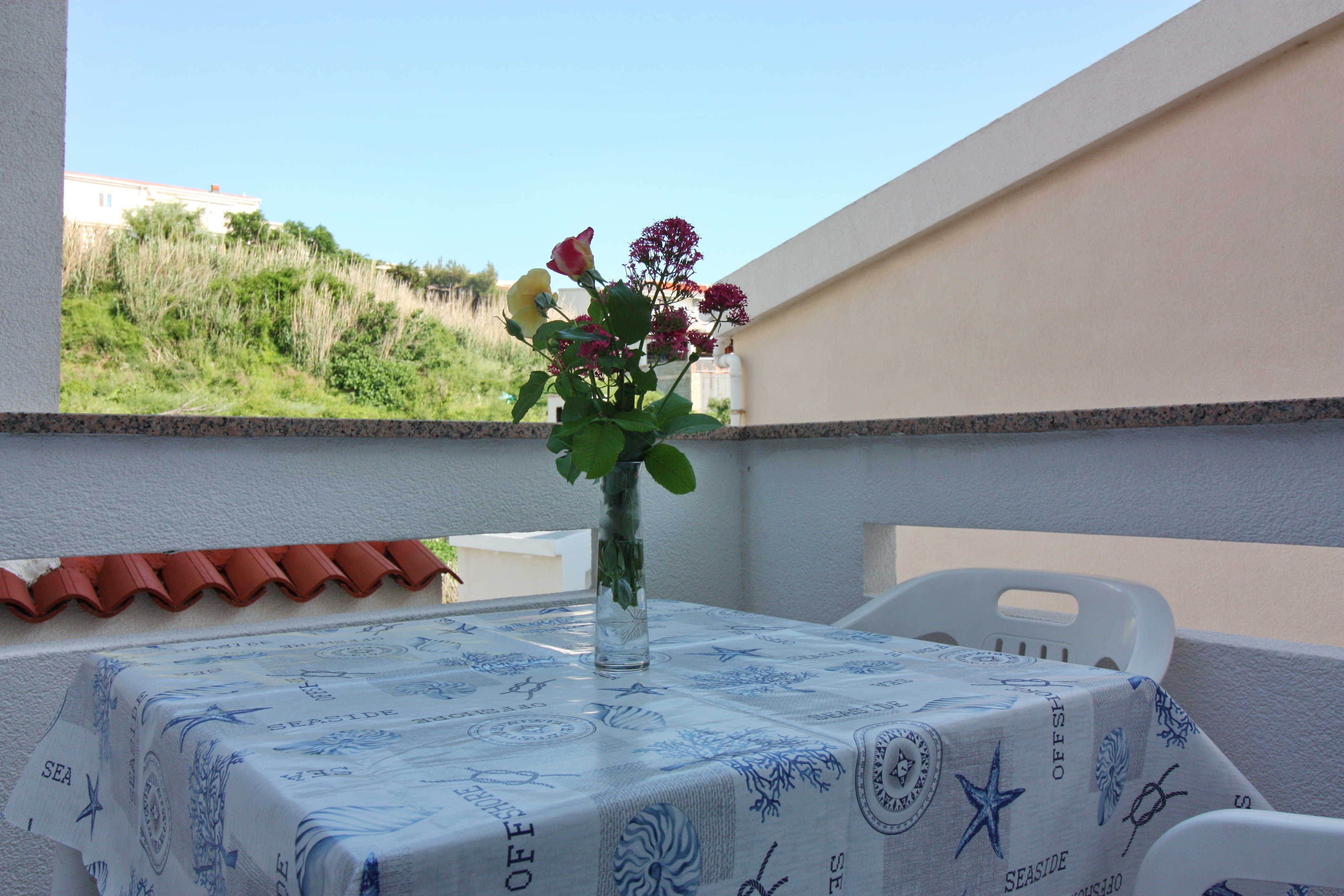 Top Pag Metajna Top Pag Metajna