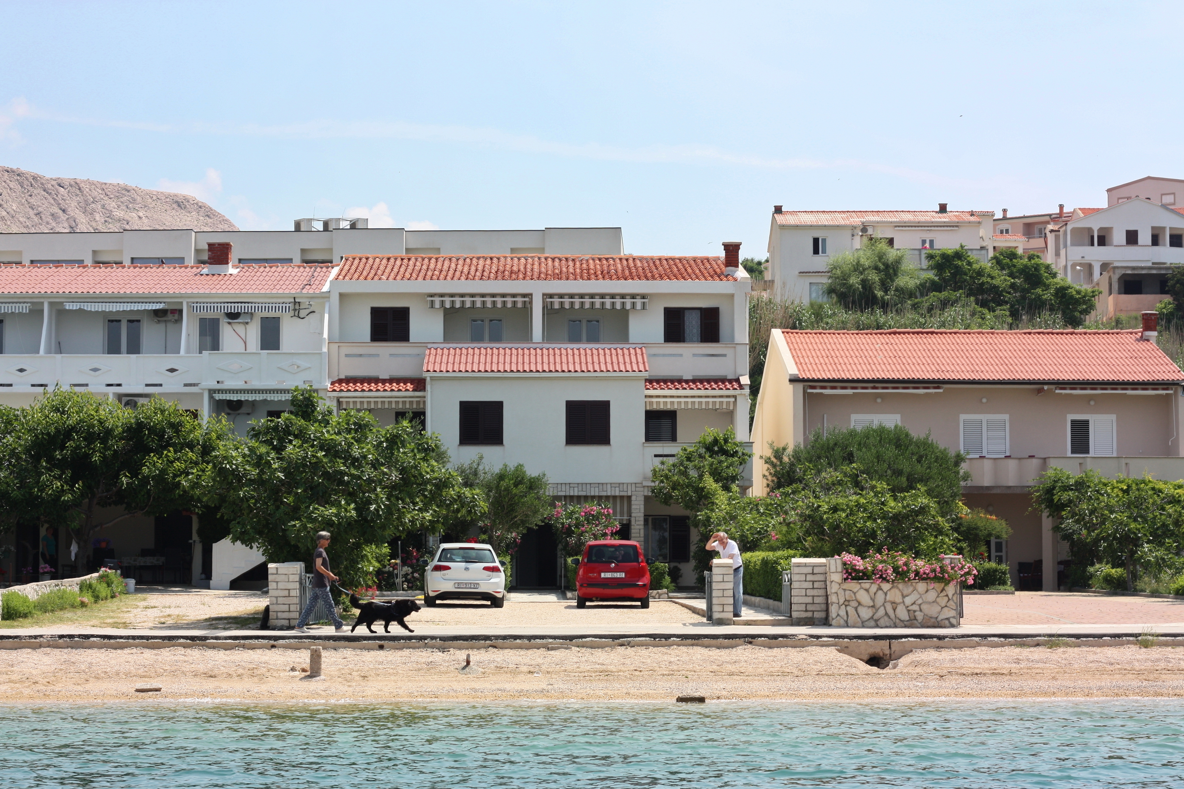 Top Pag Metajna Top Pag Metajna