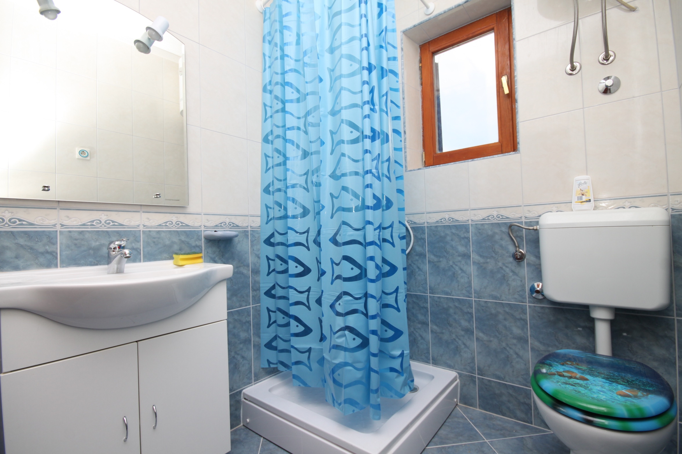 Top Pag Metajna Top Pag Metajna