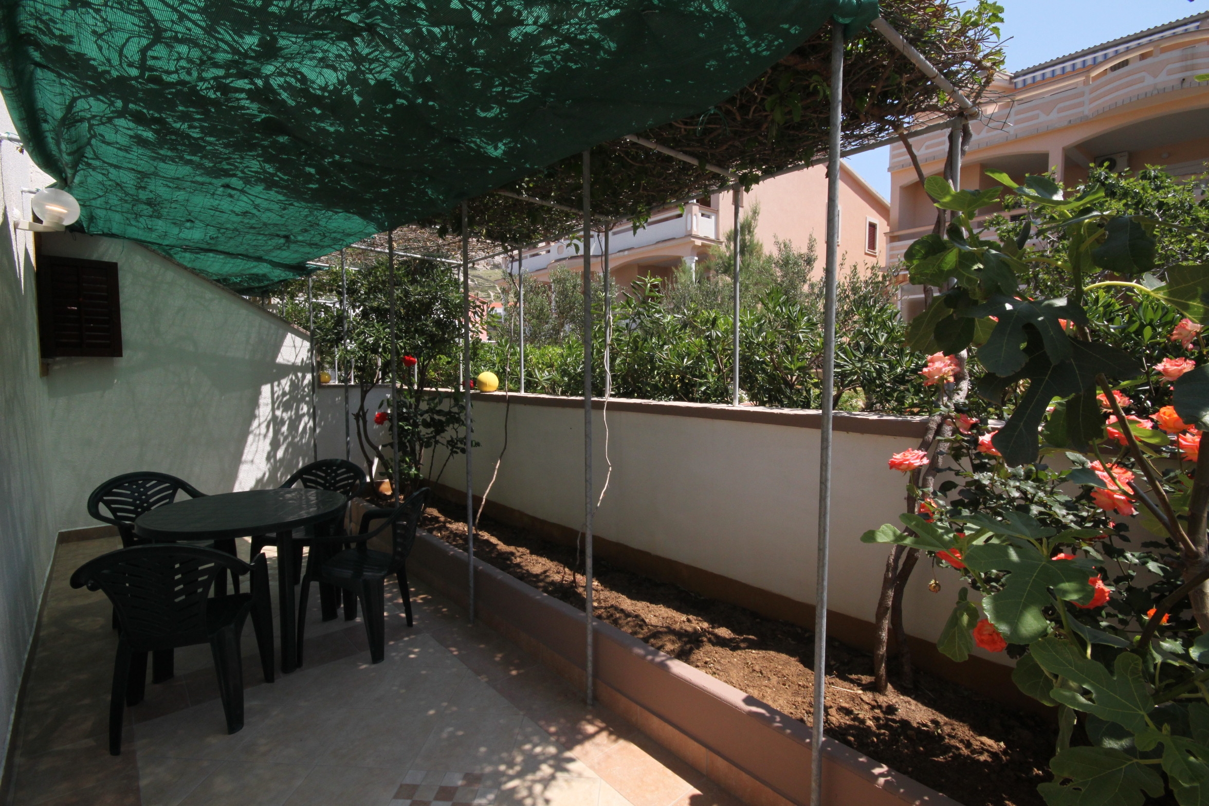 Top Pag Metajna Top Pag Metajna