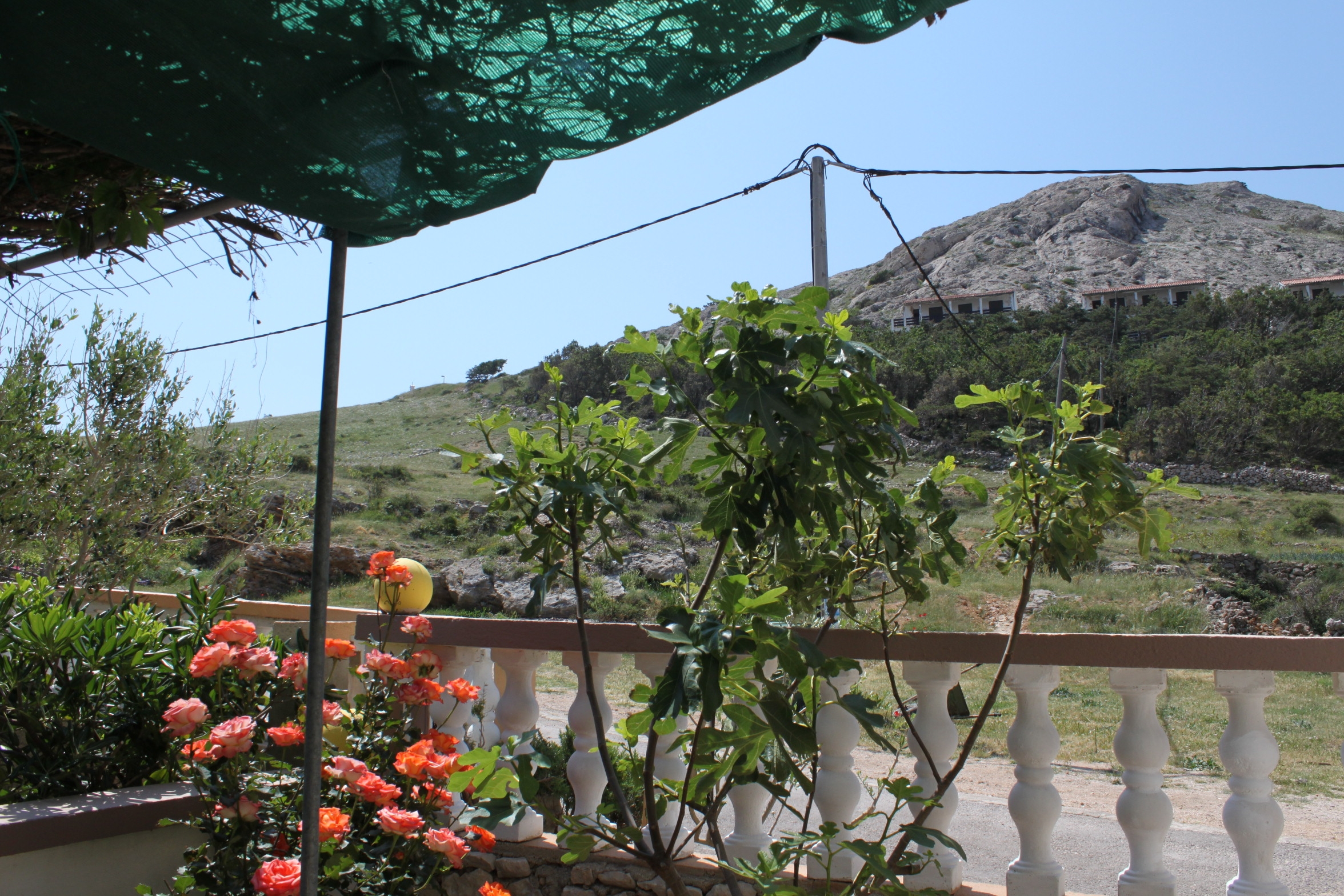 Top Pag Metajna Top Pag Metajna