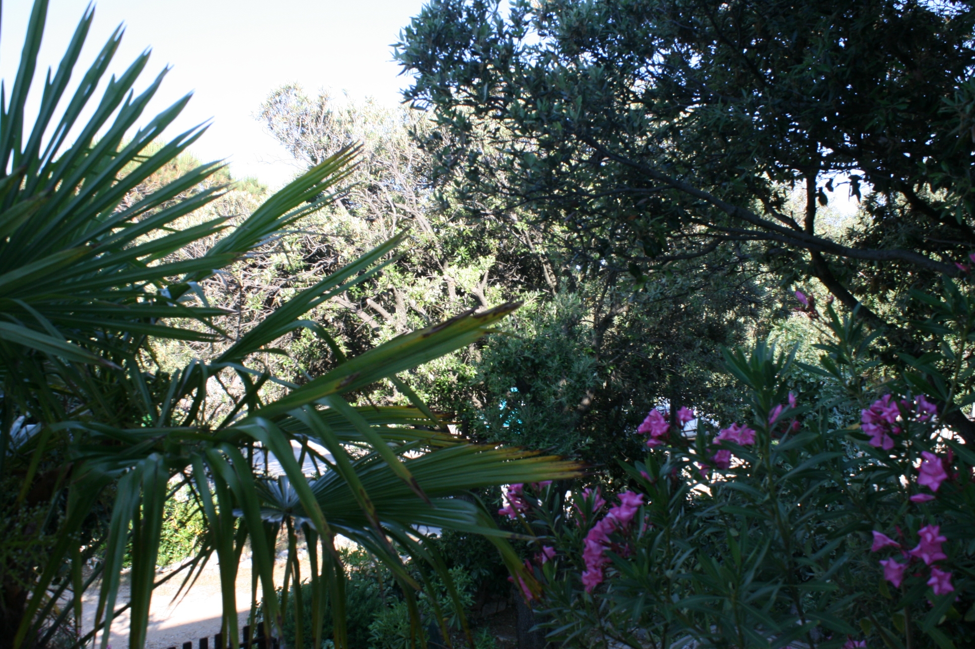 One bedroom apartment with terrace Mandre, Pag  A-a