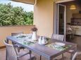 Mandre, Terrace in the apartment, (pet friendly) and WiFi.