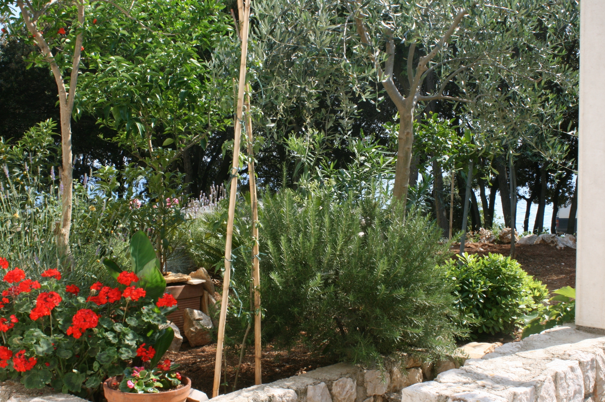One bedroom apartment near beach Mandre, Pag  A-b