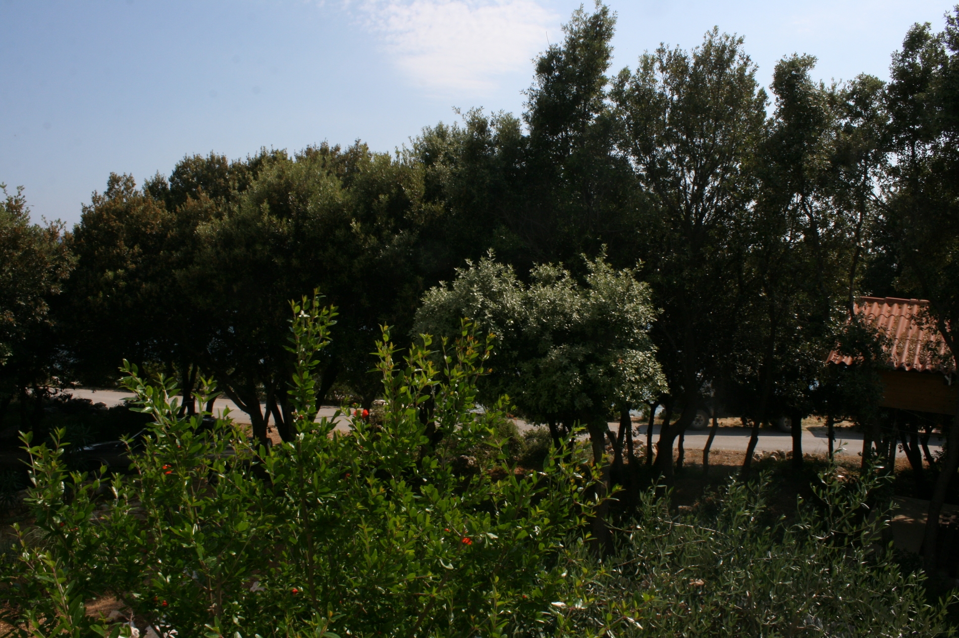 One bedroom apartment near beach Mandre, Pag  A-c