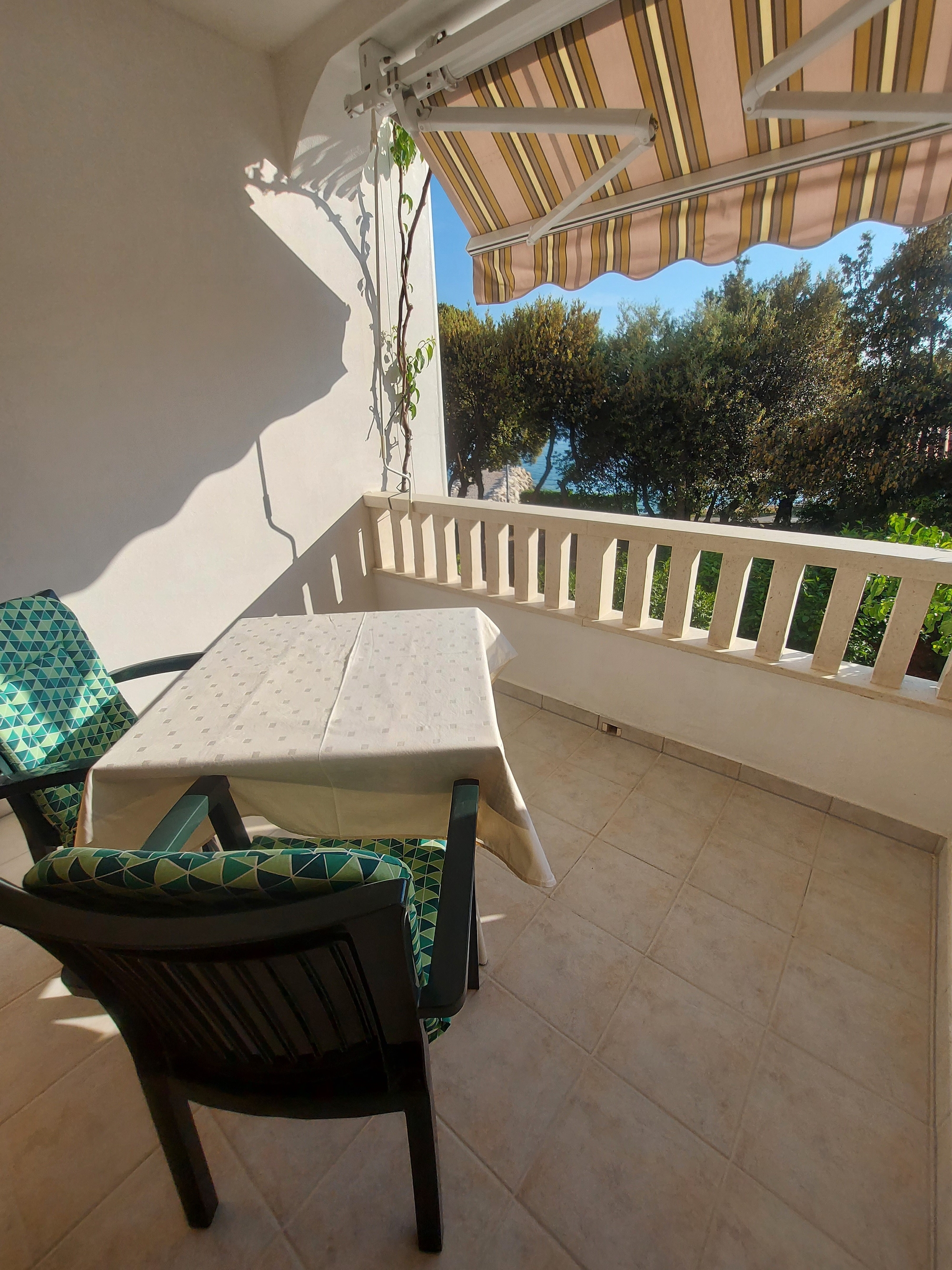 Top Pag Mandre Top Pag Mandre