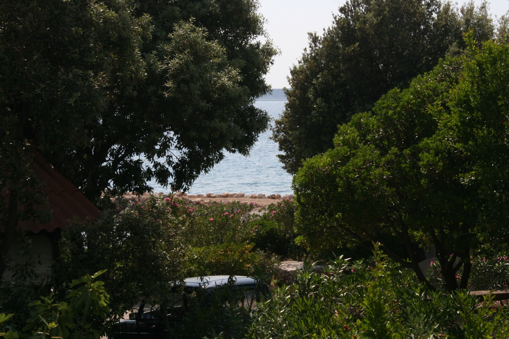 Studio flat near beach Mandre, Pag (AS-6518-a) Studio flat near beach Mandre, Pag (AS-6518-a)