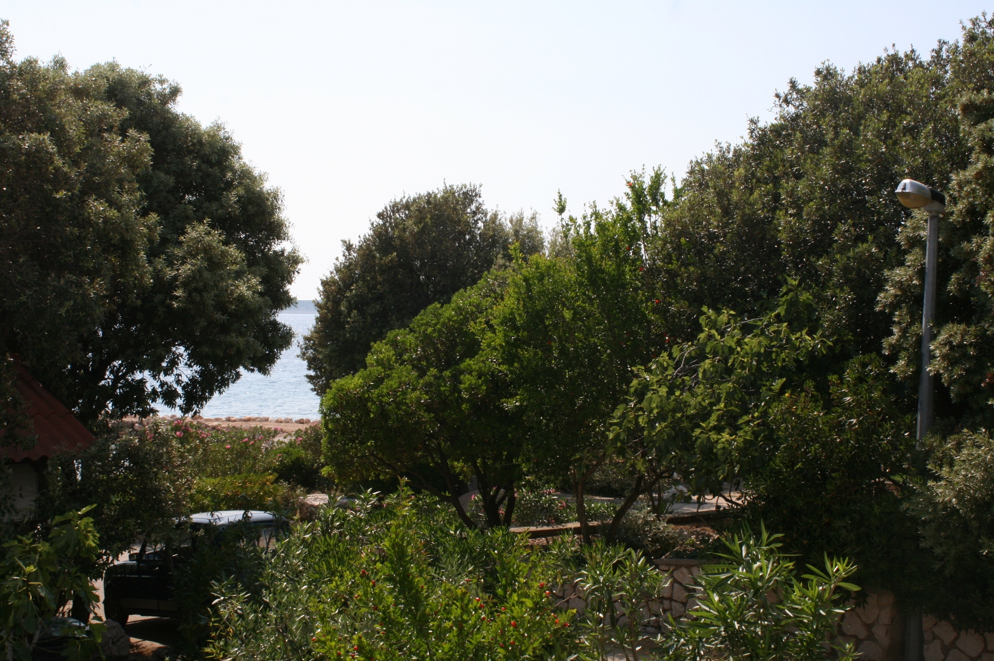 Top Pag Mandre Top Pag Mandre