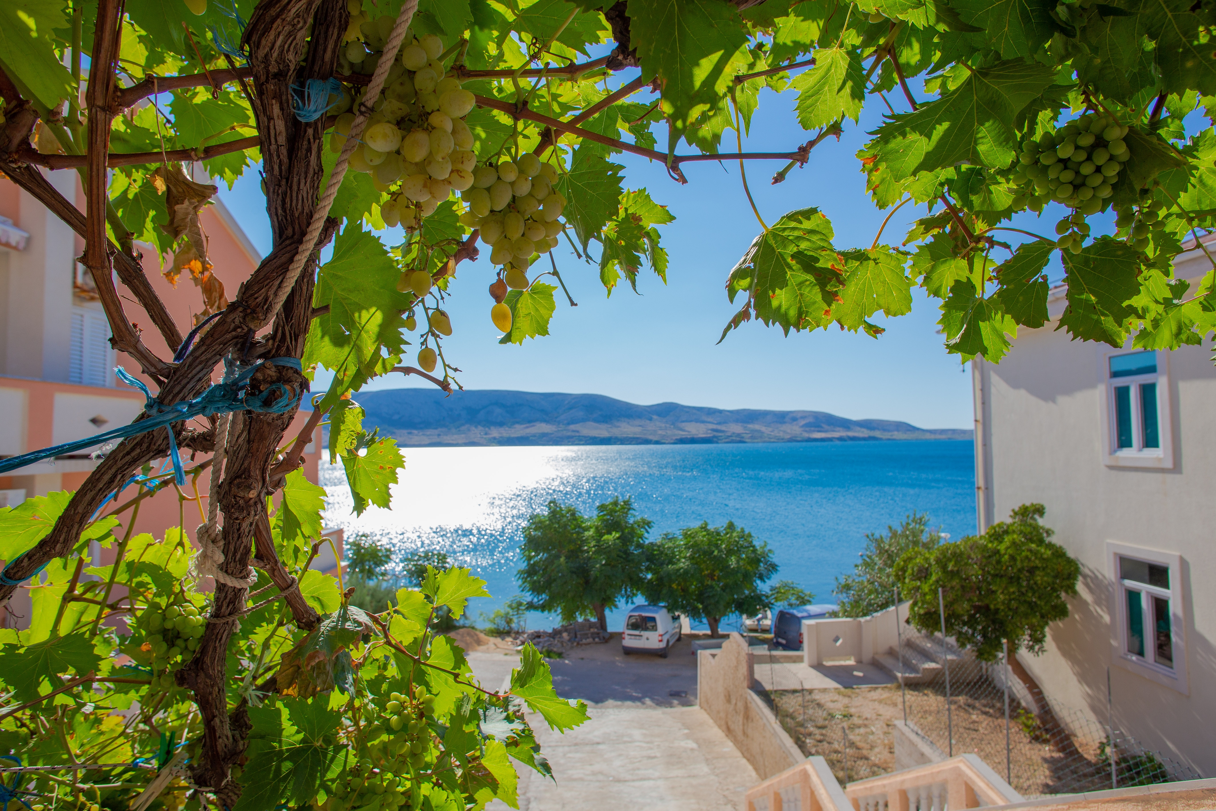 Top Pag Metajna Top Pag Metajna