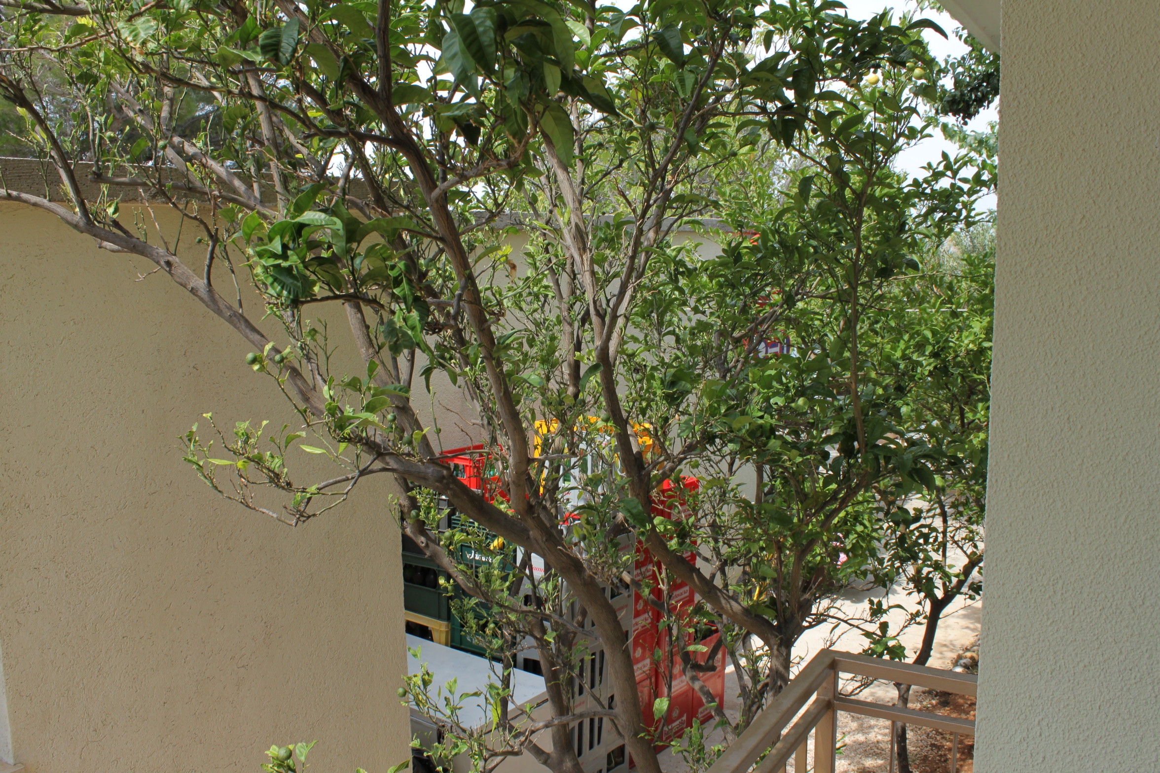 Three bedroom apartment near beach Seline, Paklenica  A-a