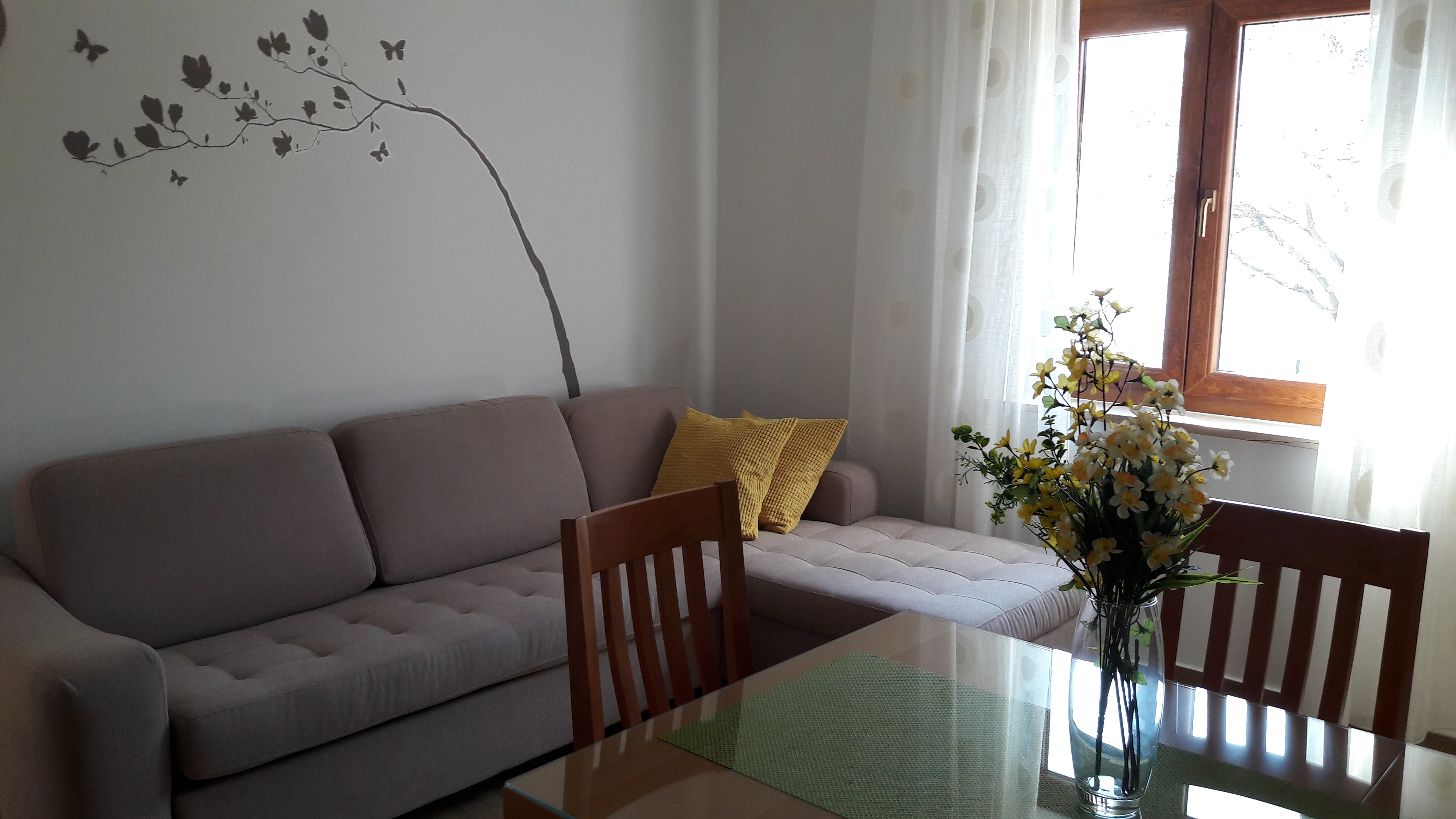 Top Paklenica Seline Top Paklenica Seline