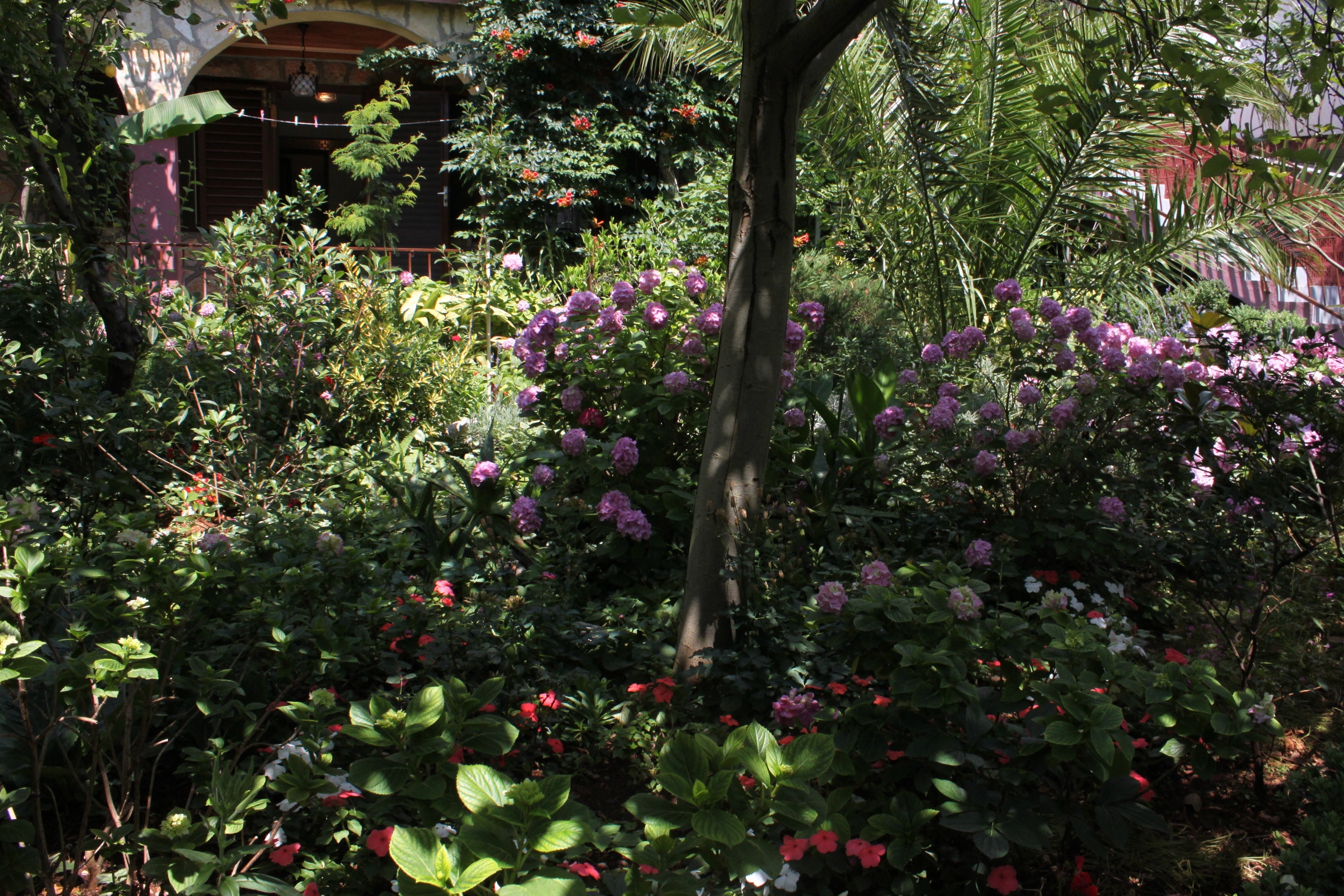 Two bedroom apartment with terrace and sea view Starigrad, Paklenica  A-a