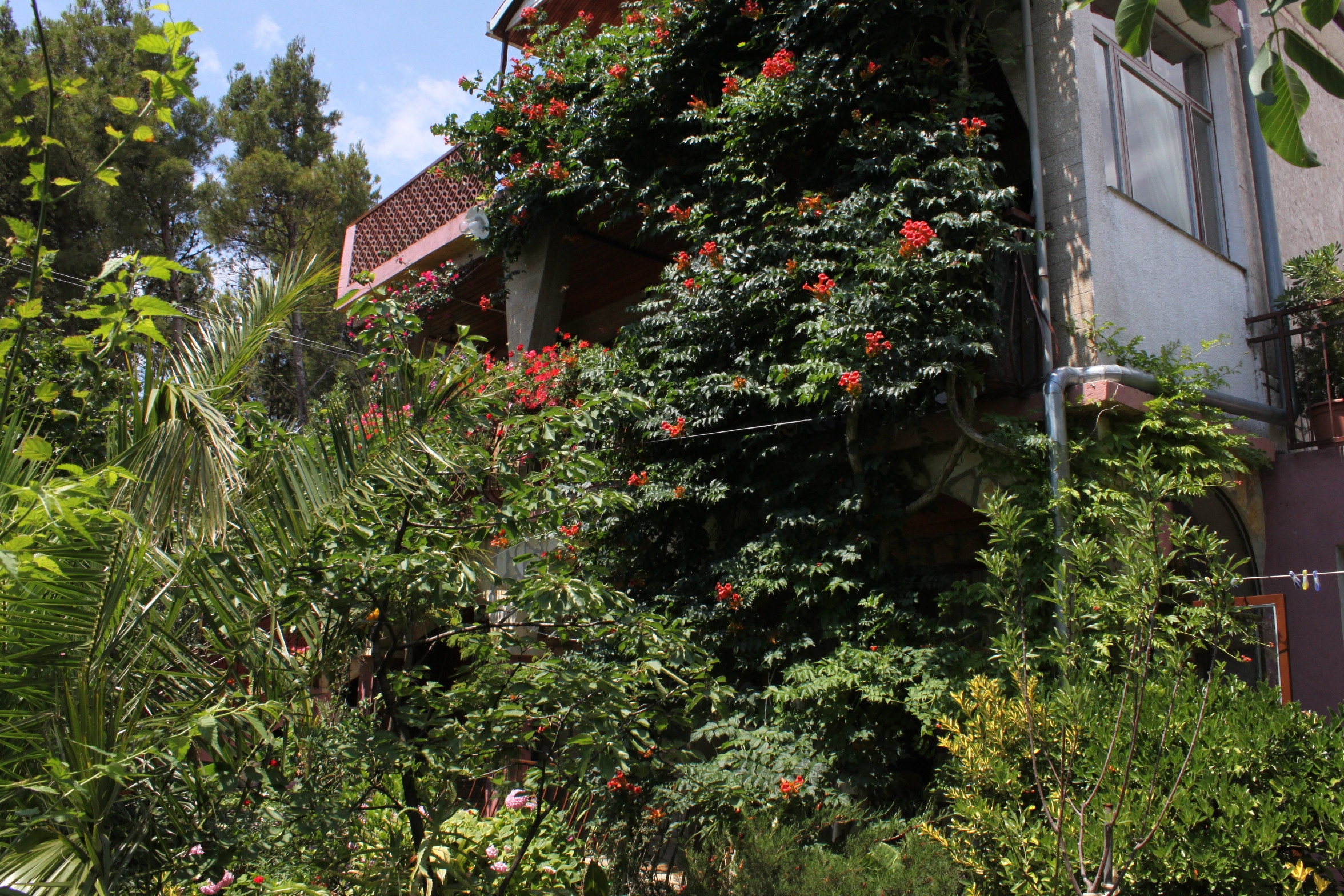 Two bedroom apartment with terrace and sea view Starigrad, Paklenica  A-a