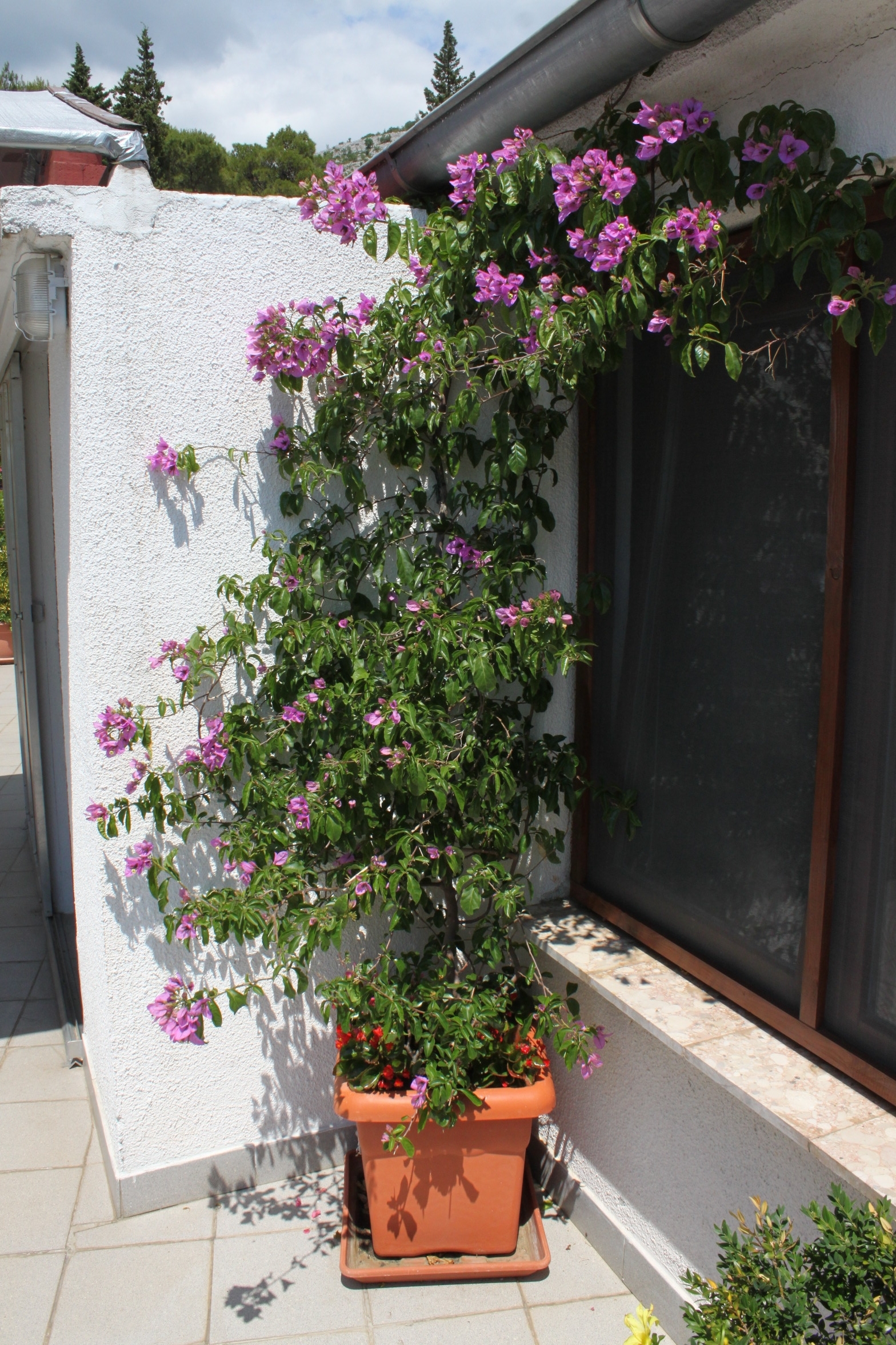 Two bedroom apartment with terrace and sea view Starigrad, Paklenica  A-a