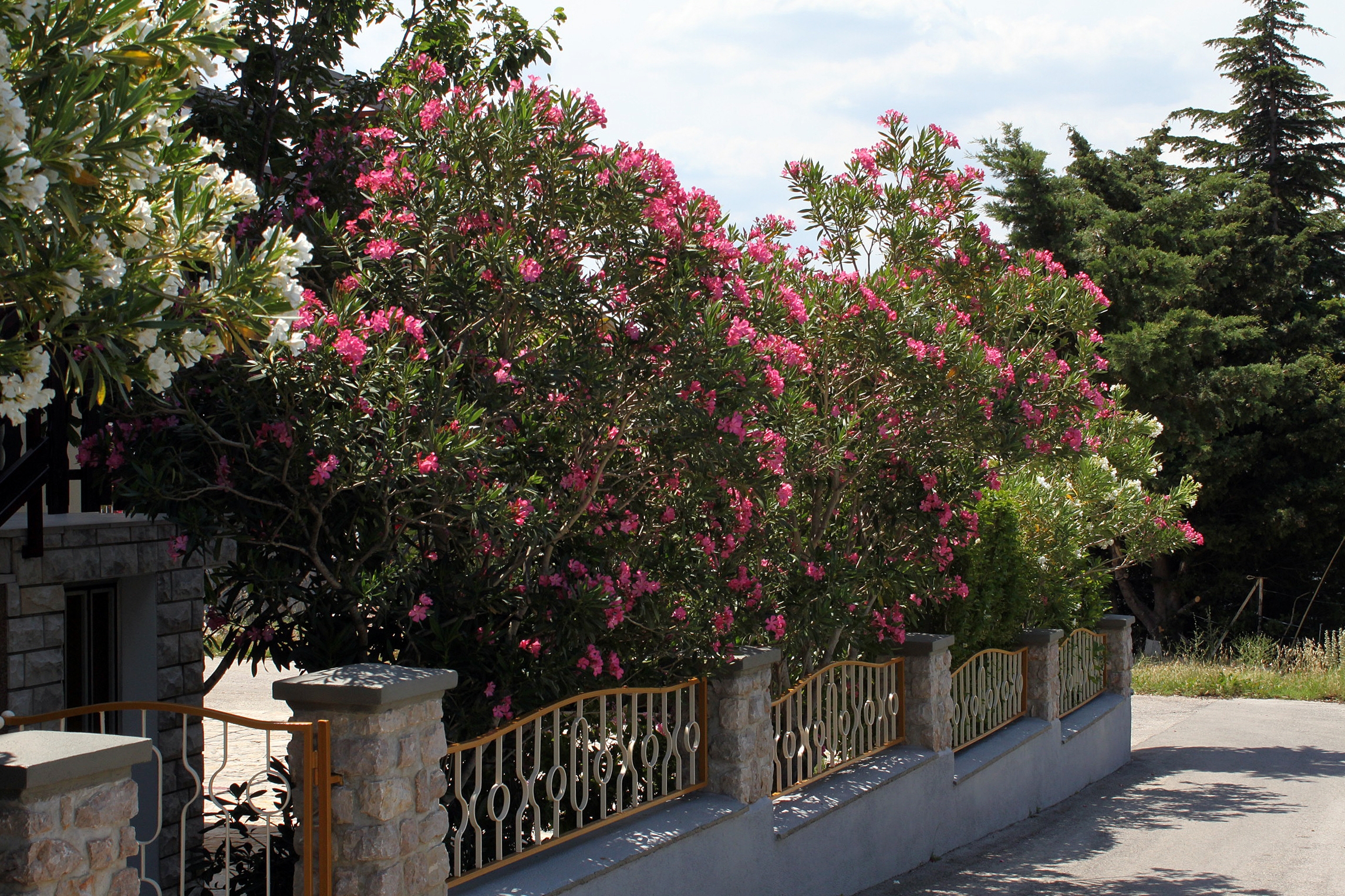 Top Paklenica Starigrad Top Paklenica Starigrad